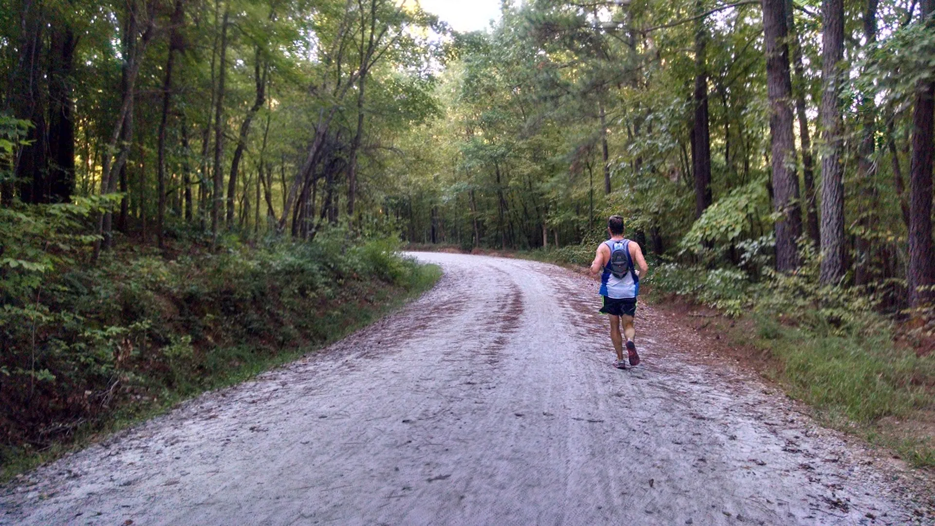 The image shows a person walking or jogging on a dirt road. The road is