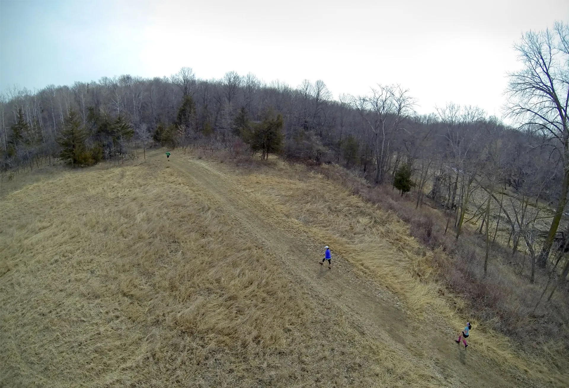 Trail Mix Race - MN - main photo