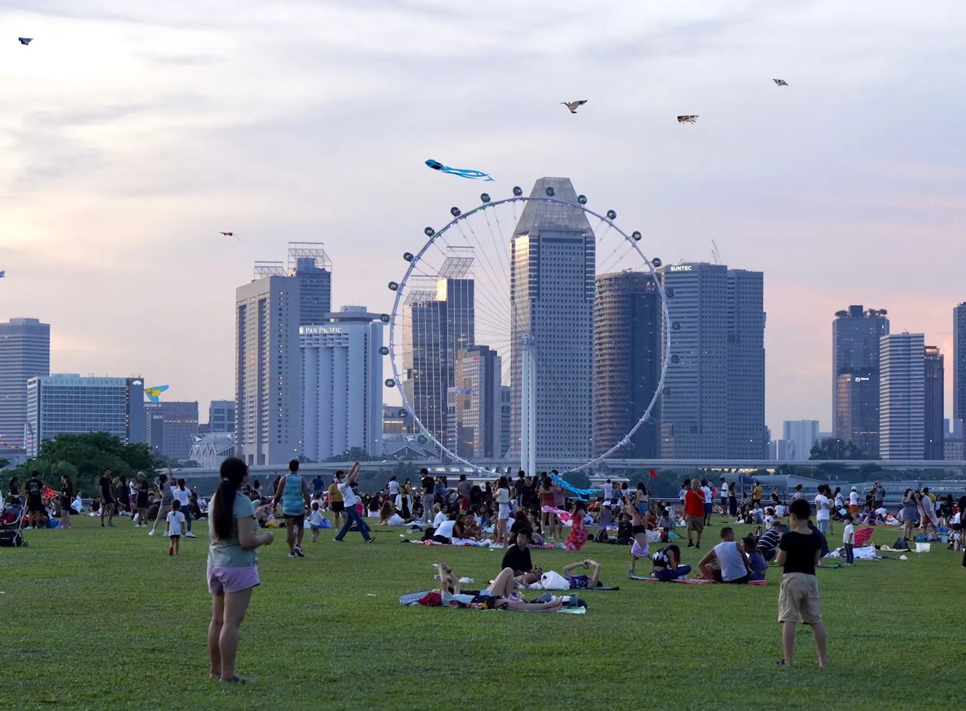 The image captures a lively outdoor scene where people are gathered on a wide grassy