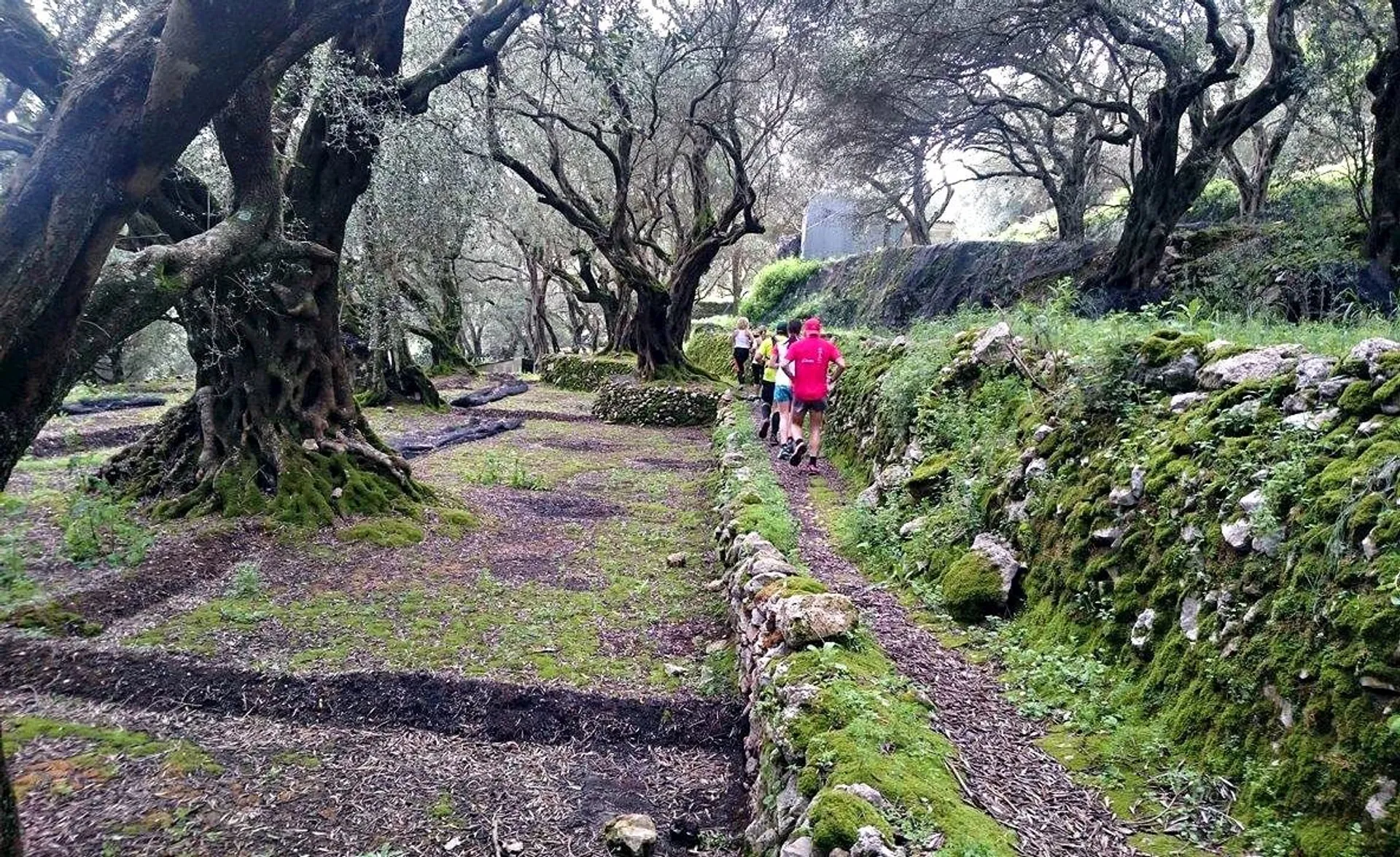 Corfu Mountain Trail