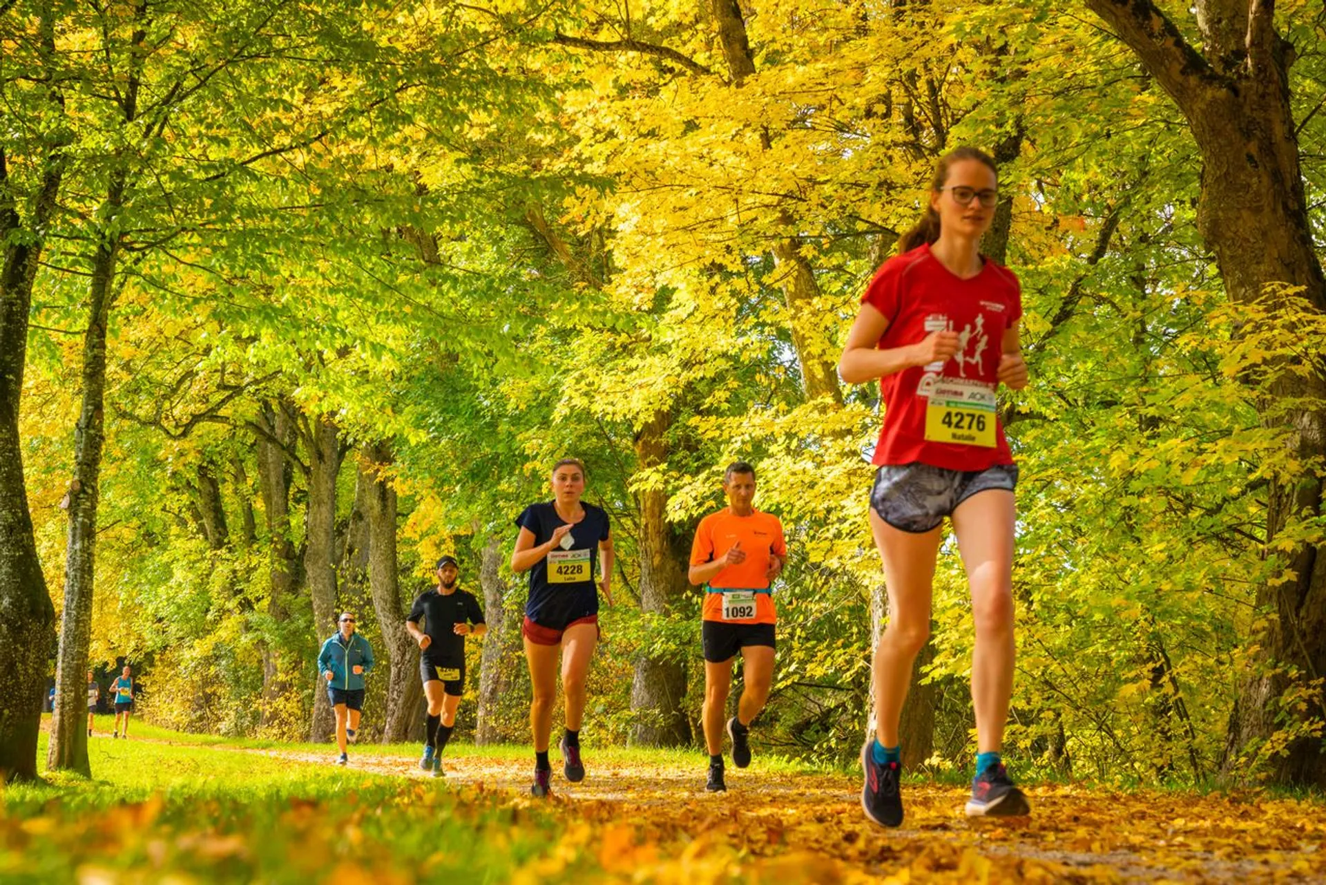 Image of The Black Forest Marathon
