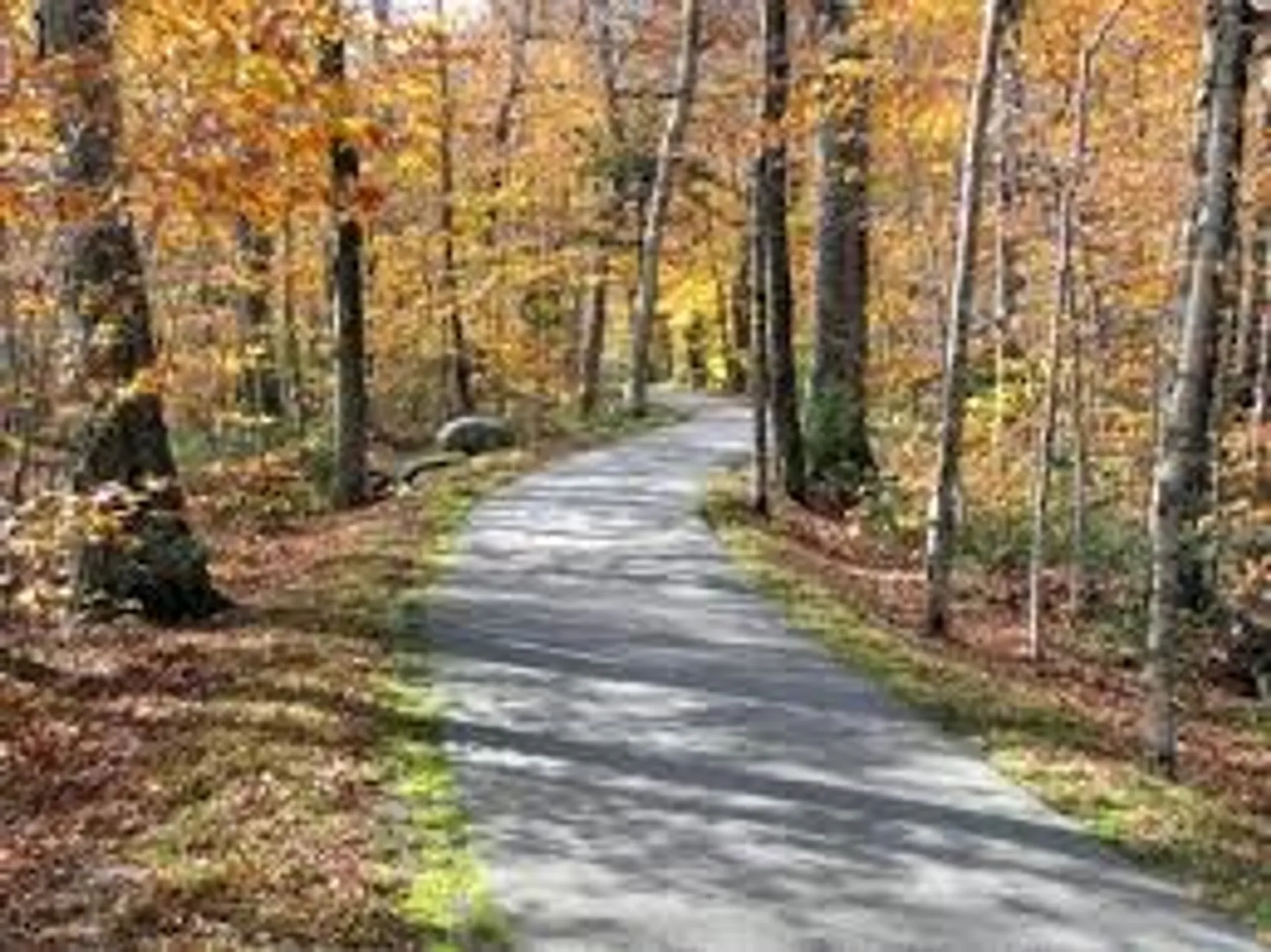 Franconia Notch Half Marathon - main photo