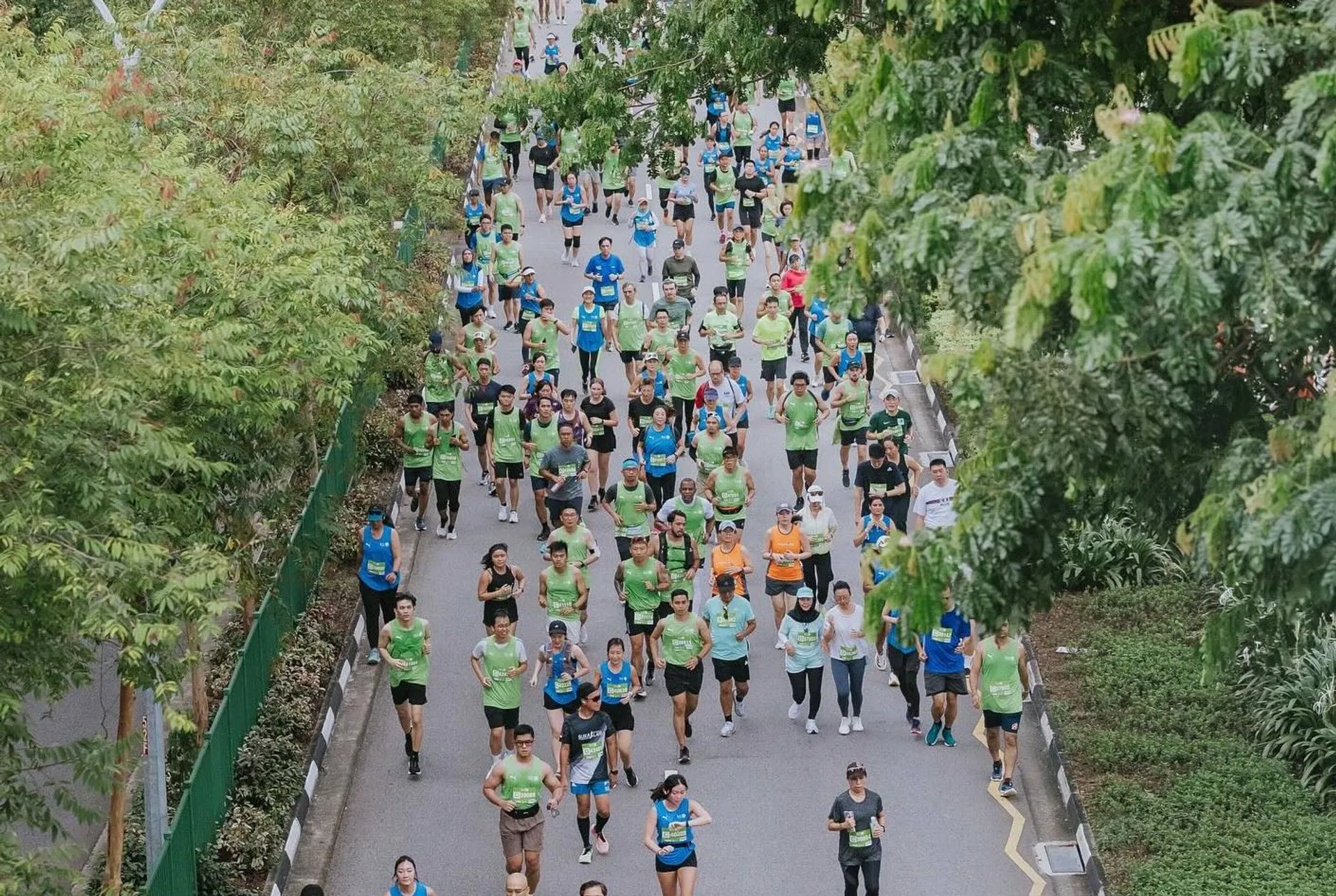 The image shows a large group of people running a race on a road. They are surrounded by greenery, and many of the runners are wearing colorful athletic clothing. It appears to be an outdoor event, possibly a marathon or a community run.