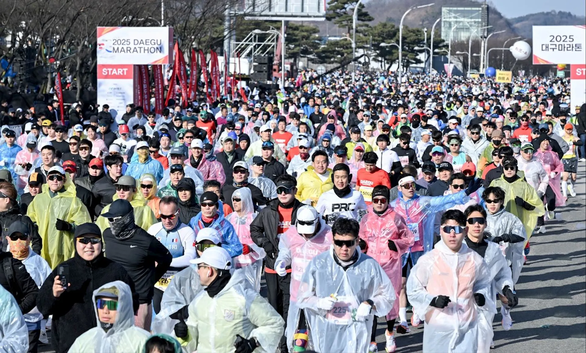The image shows a large group of people participating in a marathon event. They are dressed in various athletic clothing, some wearing rain ponchos. The signs indicate it's a marathon in Daegu, planned for 2025. The participants are running along a road lined with trees and other spectators.