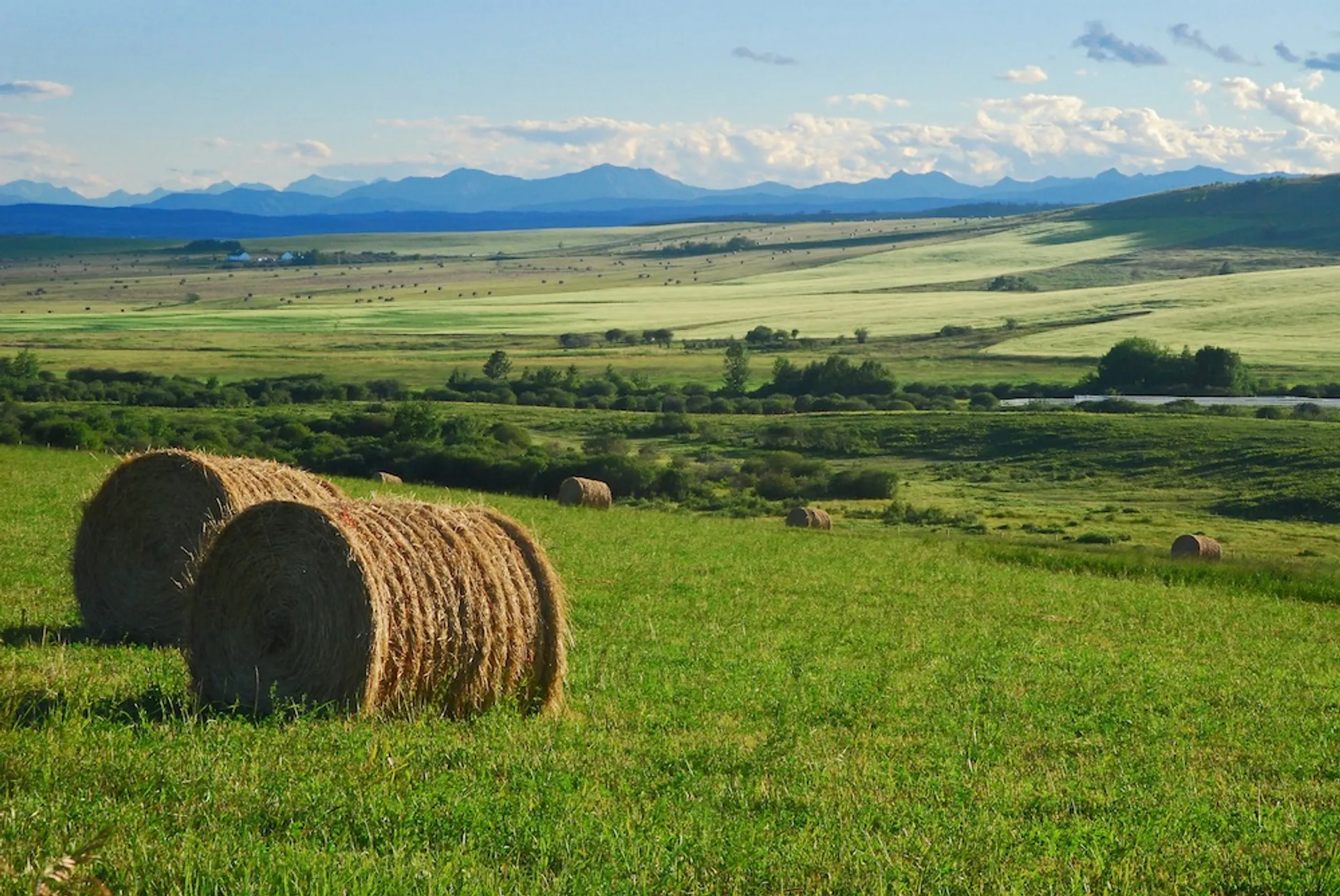 The image shows a rural landscape with several prominent features:

1. Hay Bales