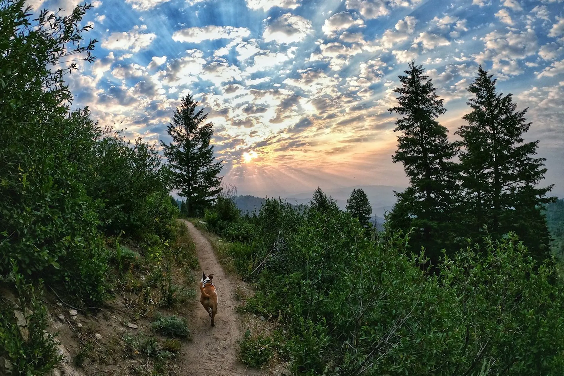 Boise Front Trail Run