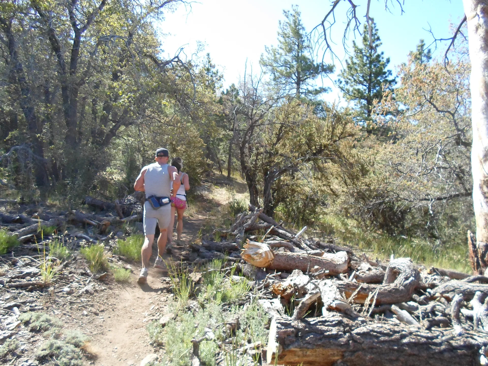 Holcomb Valley Trail Run - main photo
