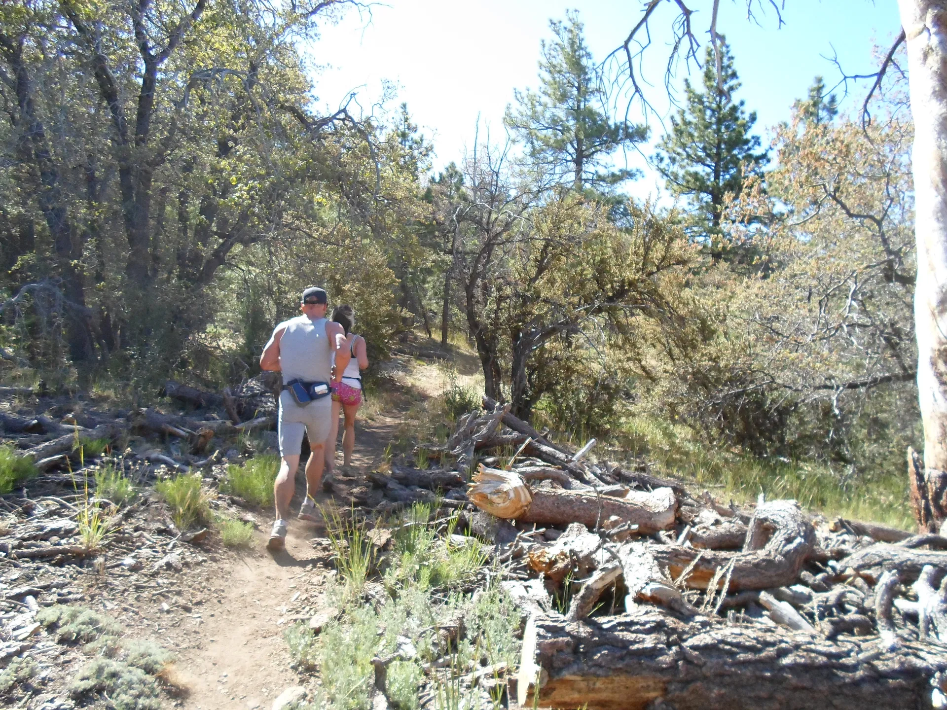 Holcomb Valley Trail Run