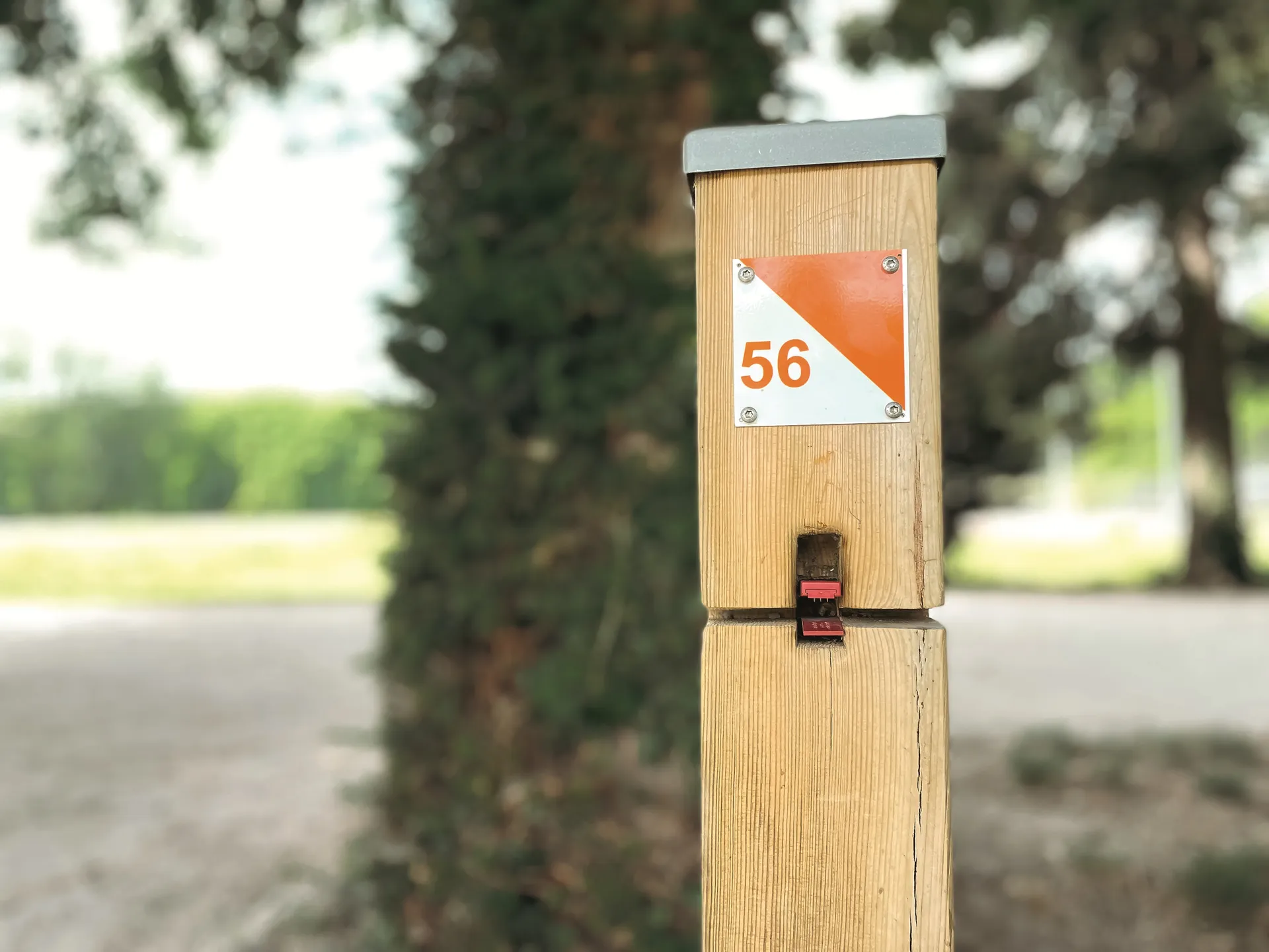 Race theme: Accessible aux débutants