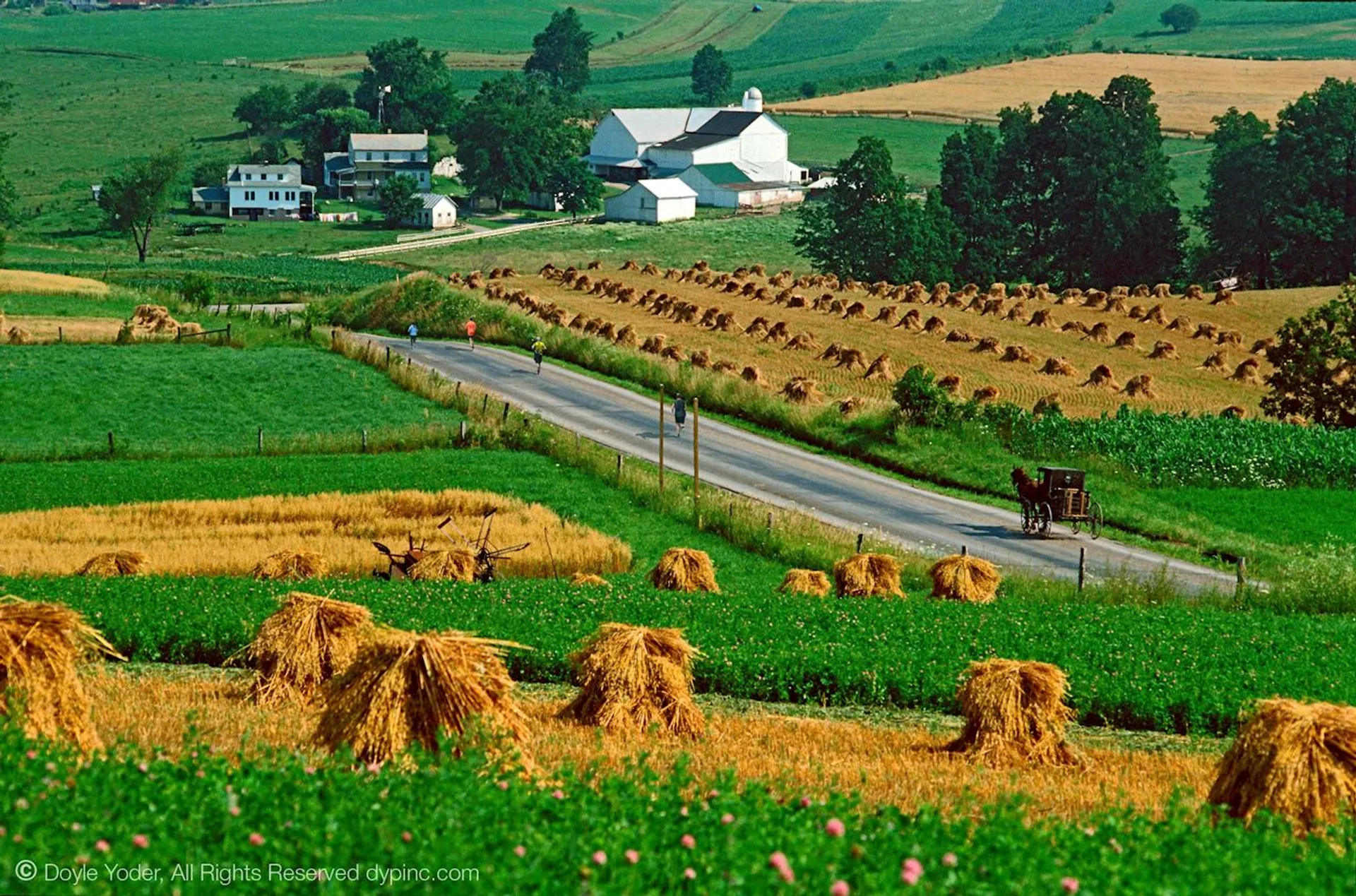 The image you've provided presents a bucolic rural landscape. In the foreground