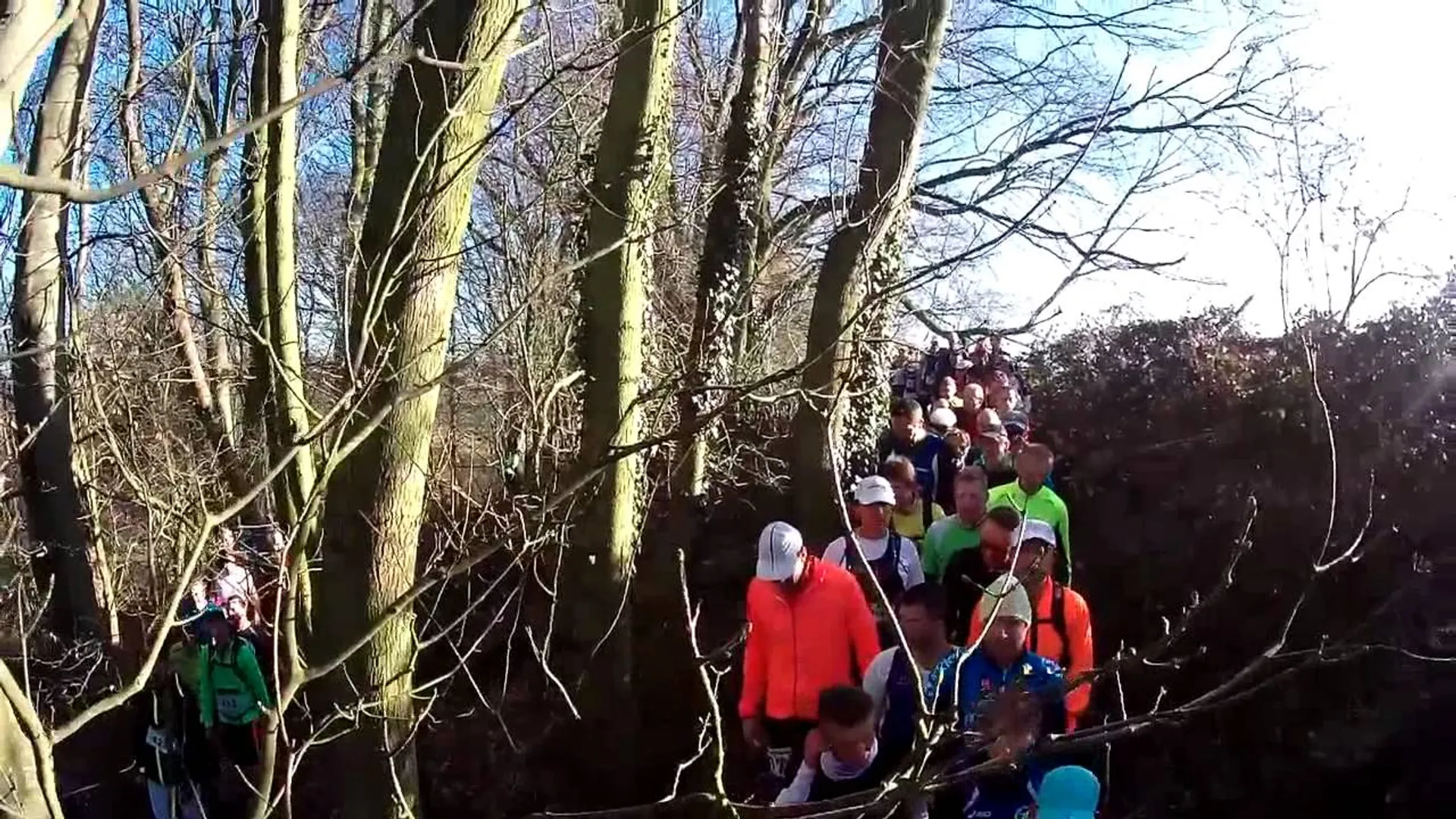 Le Trail des Sept Mares - main photo