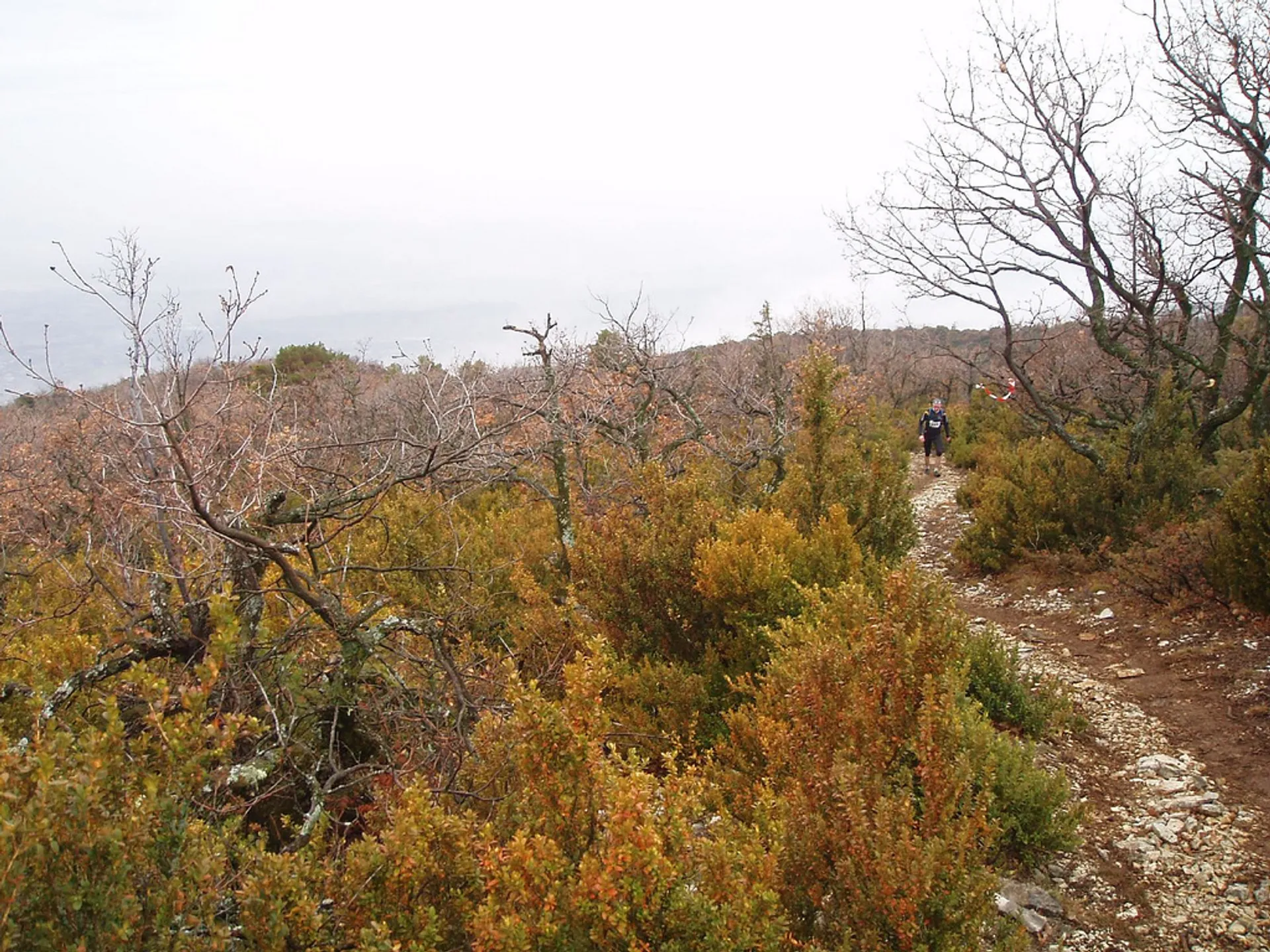 The image shows a natural, outdoor scene likely on a hiking trail. There are