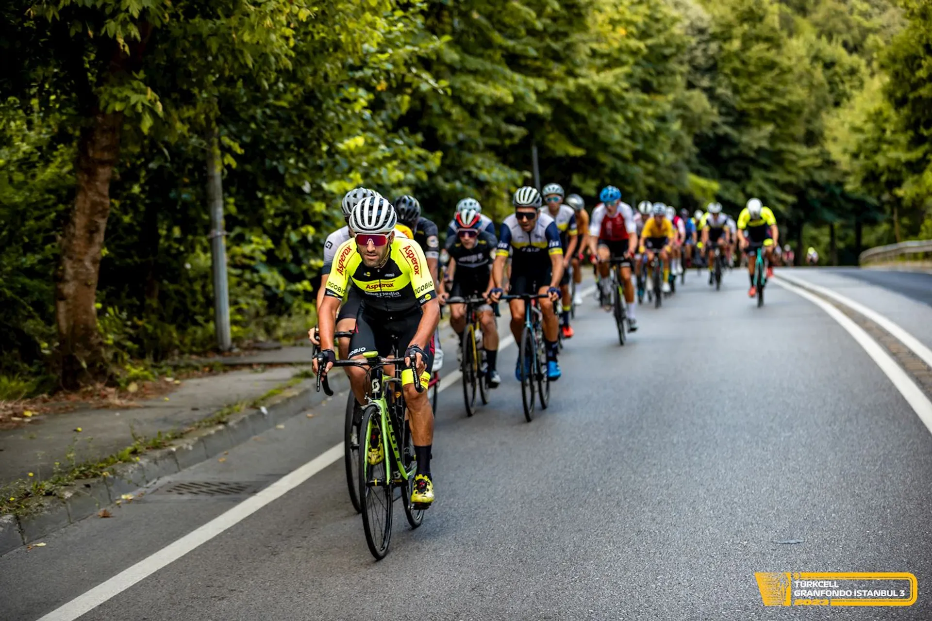 The image shows a group of cyclists on a road surrounded by greenery, most