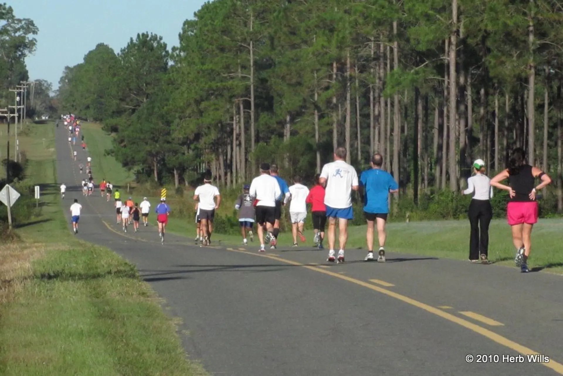 The image shows a group of people engaged in a road race or leisure run along