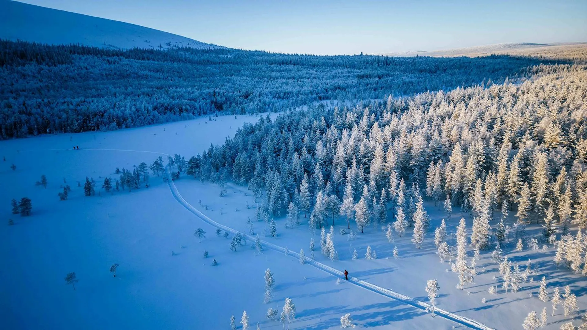 The image shows a snowy winter landscape. A vast expanse of snow-covered trees stretches across the scene, with a clear path winding through it. The sun casts long shadows, suggesting it's either early morning or late afternoon. The landscape is serene and picturesque, indicating a cold, wintry environment.