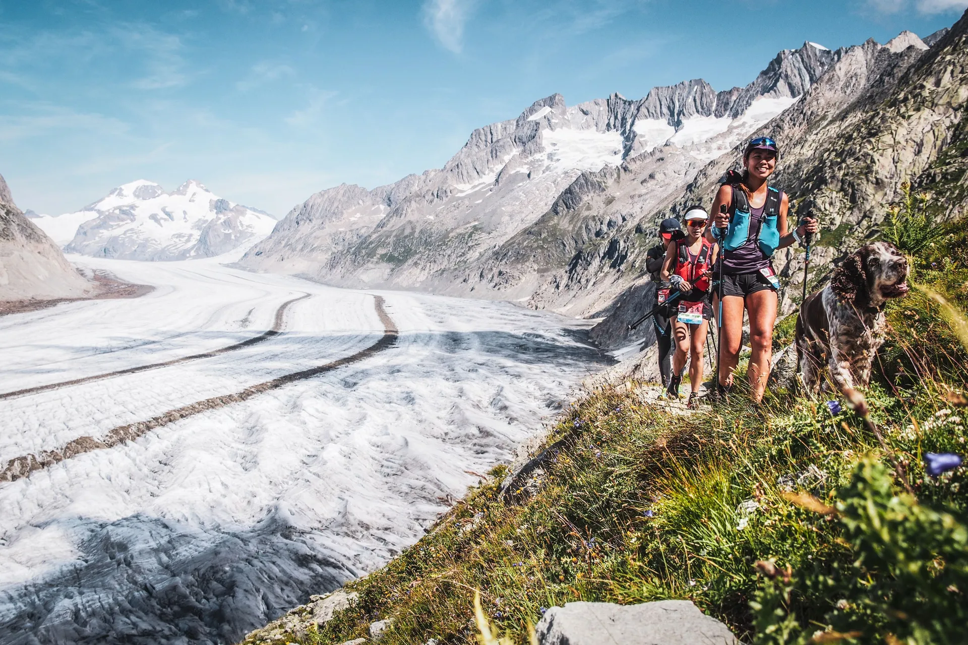 Swiss Alps 100