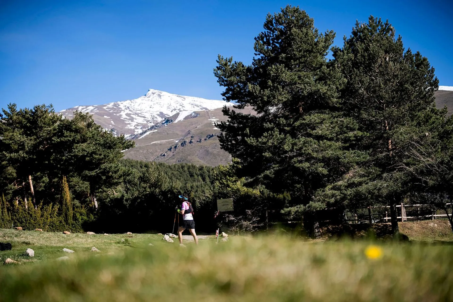 Ultra Sierra Nevada