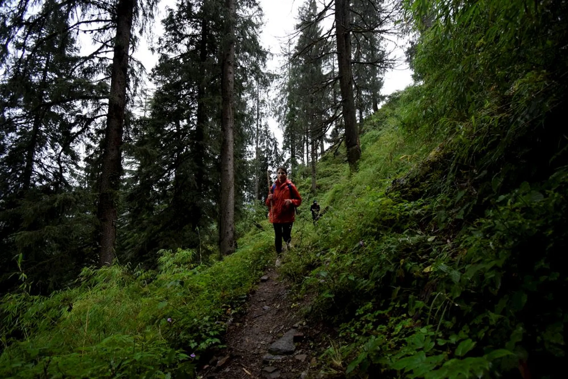 The image shows a person jogging along a forest trail. The individual is clad in