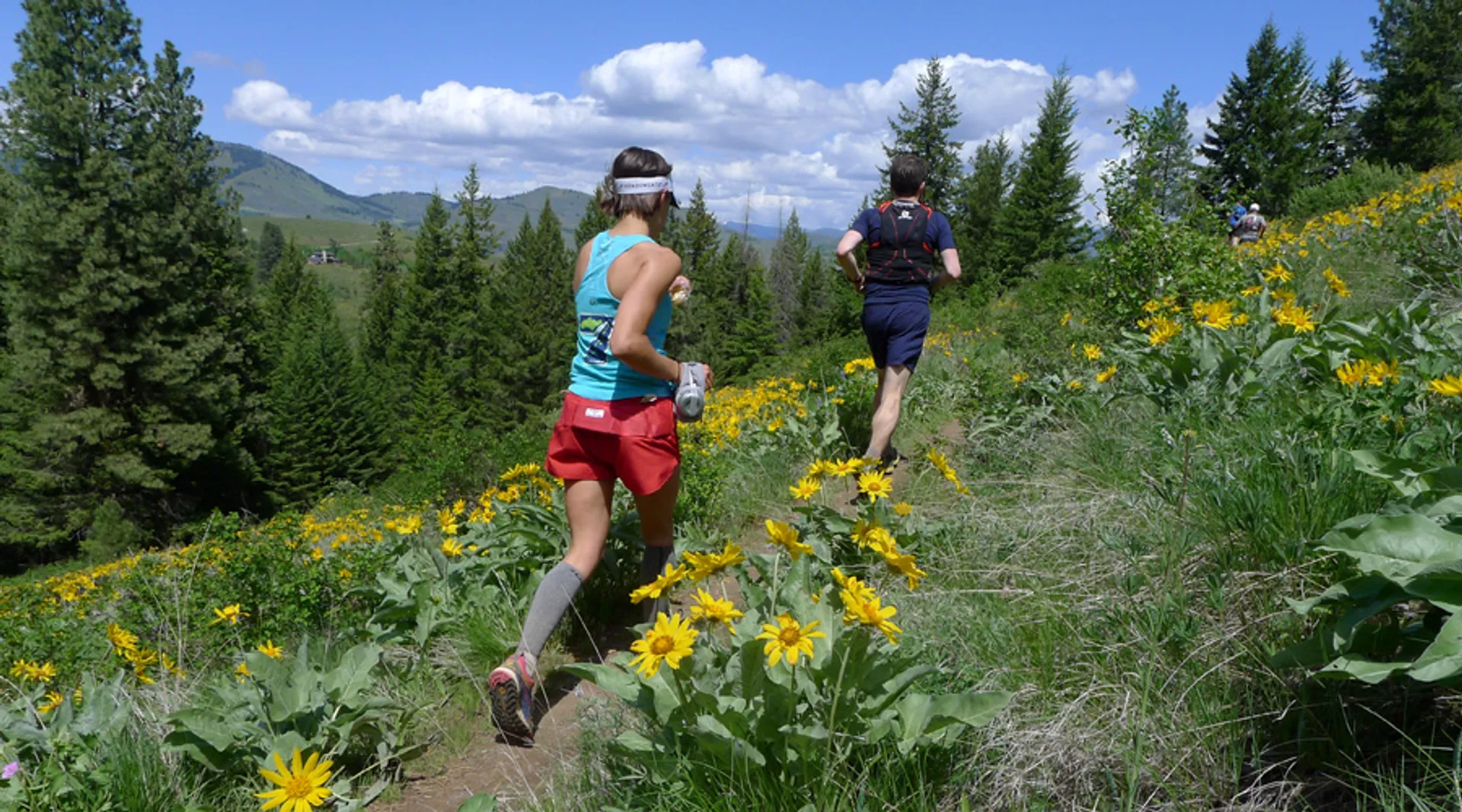 Sun Mountain 50K & 25K - main photo