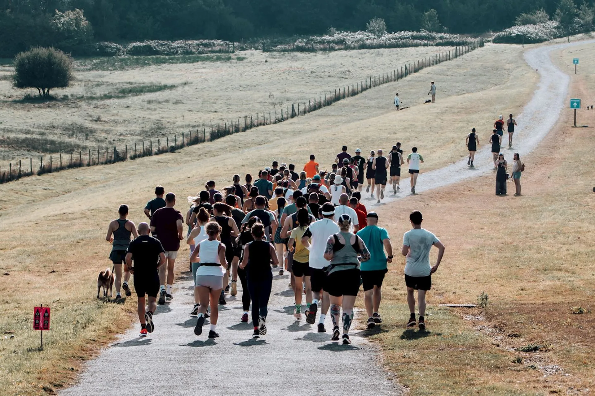 Bewl Water Spring 10km, Half Marathon, Marathon & Ultra 50km