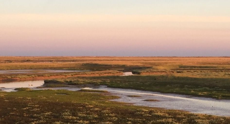 rye summer 10k 5k series race one