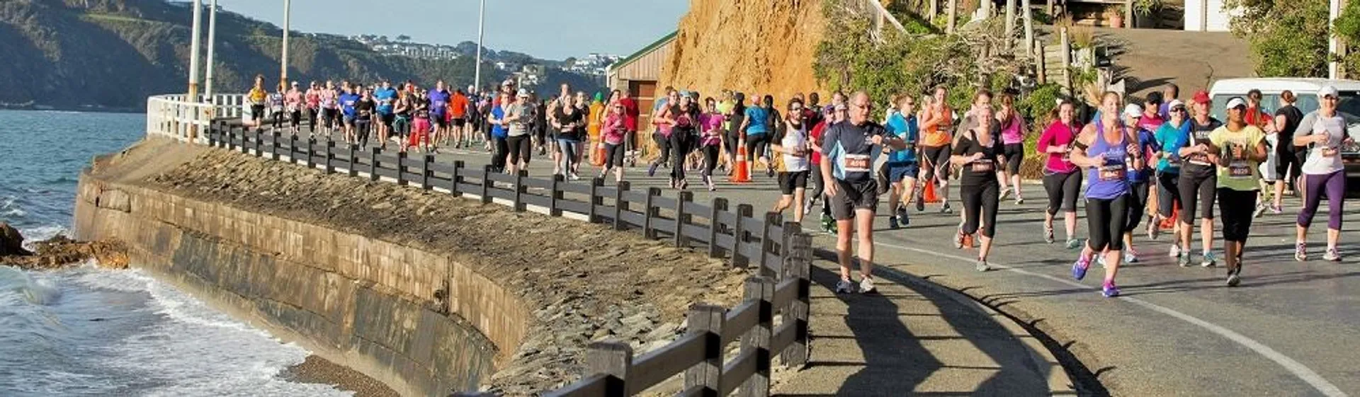 Gazley Volkswagen Wellington Marathon, Half Marathon, 10k - main photo