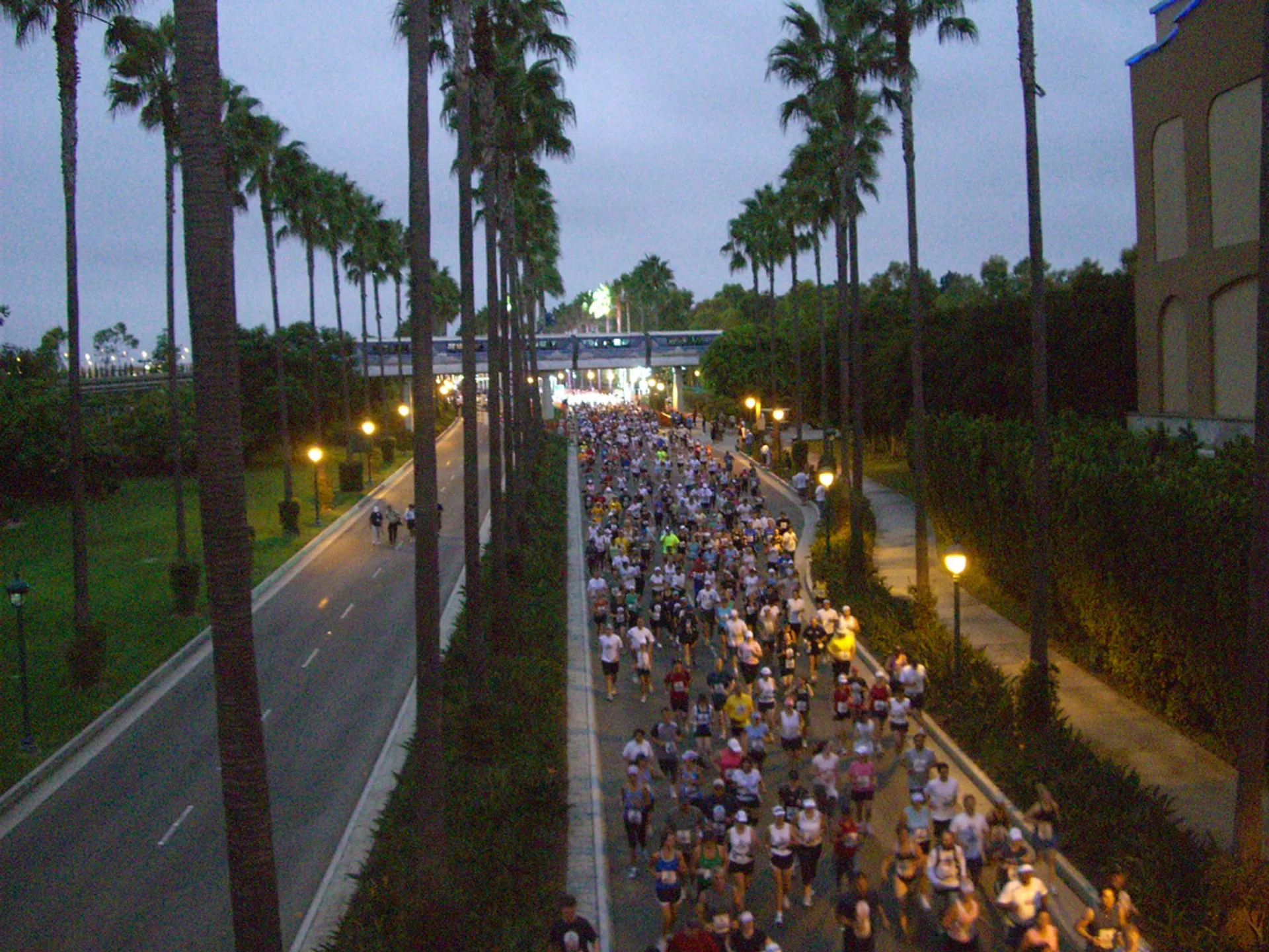 The image shows a large number of people participating in what appears to be a running