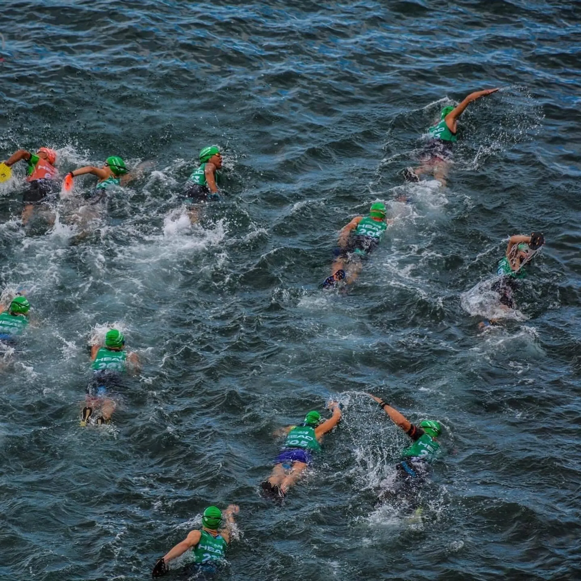 Image of Madeira Swimrun