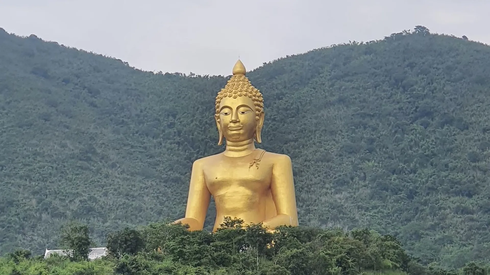 The Ape - main photo