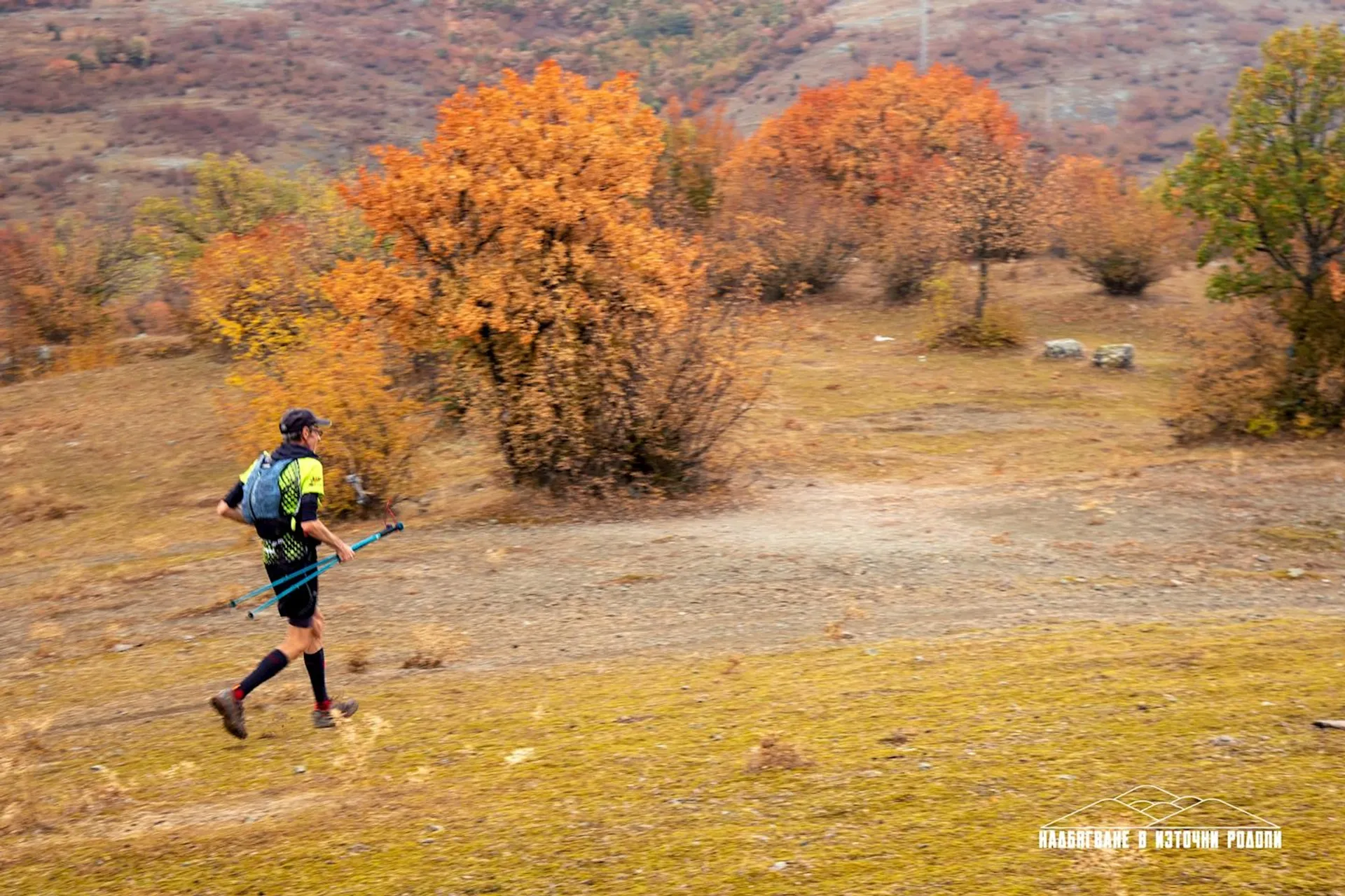 Eastern Rhodopes Wild Race