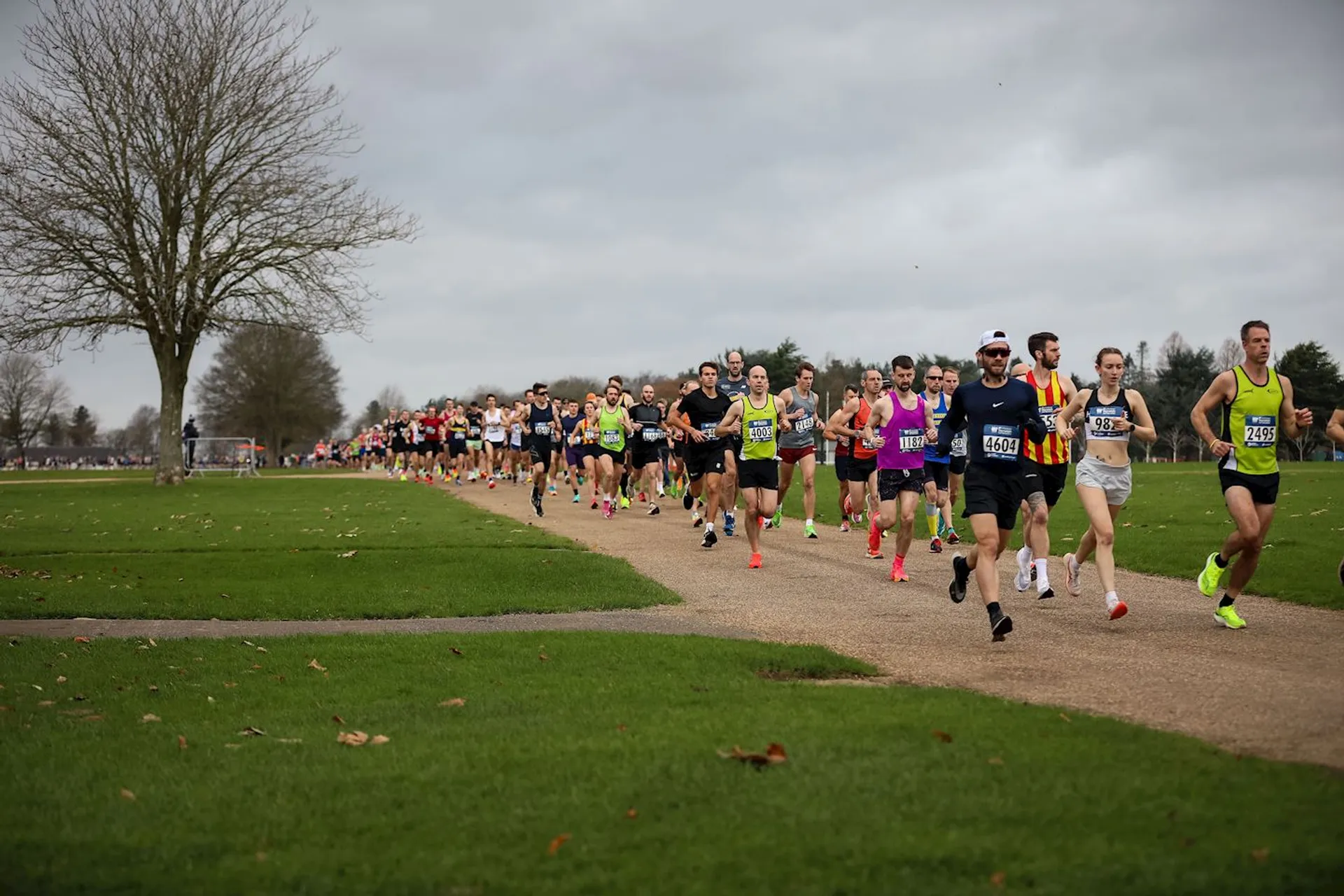 Image of Norwich Half Marathon