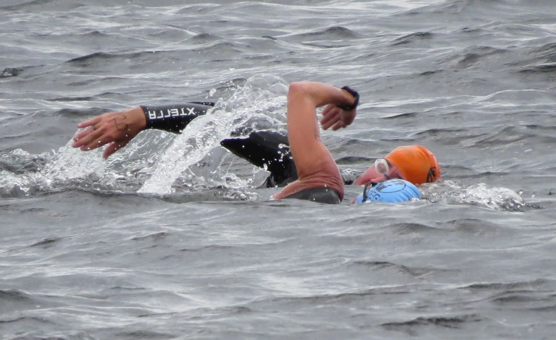 Image of Parry Sound Open Water Swim and SwimRun Challenge