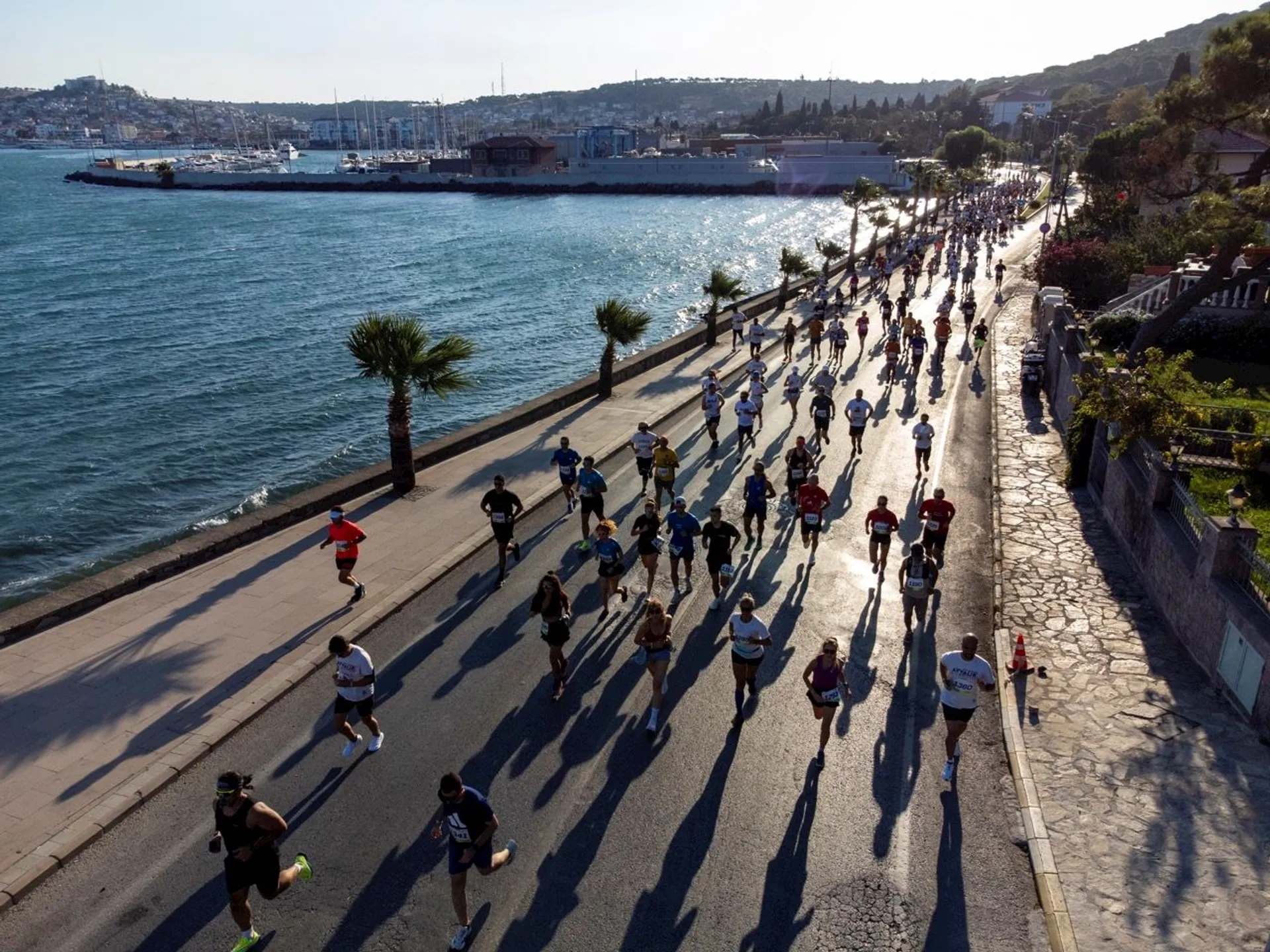 Ayvalik Half Marathon - main photo