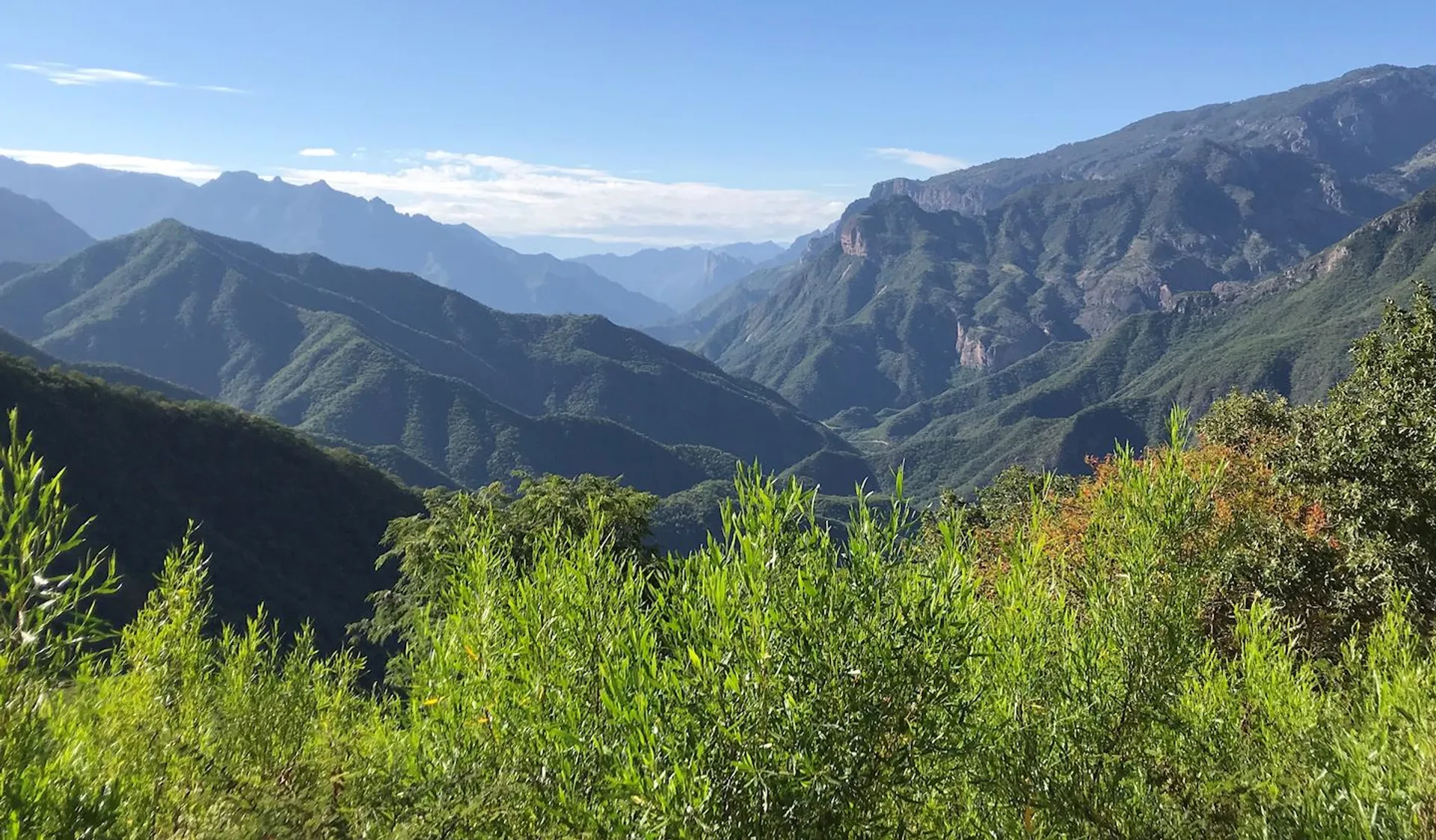 Copper Canyons Endurance Runs