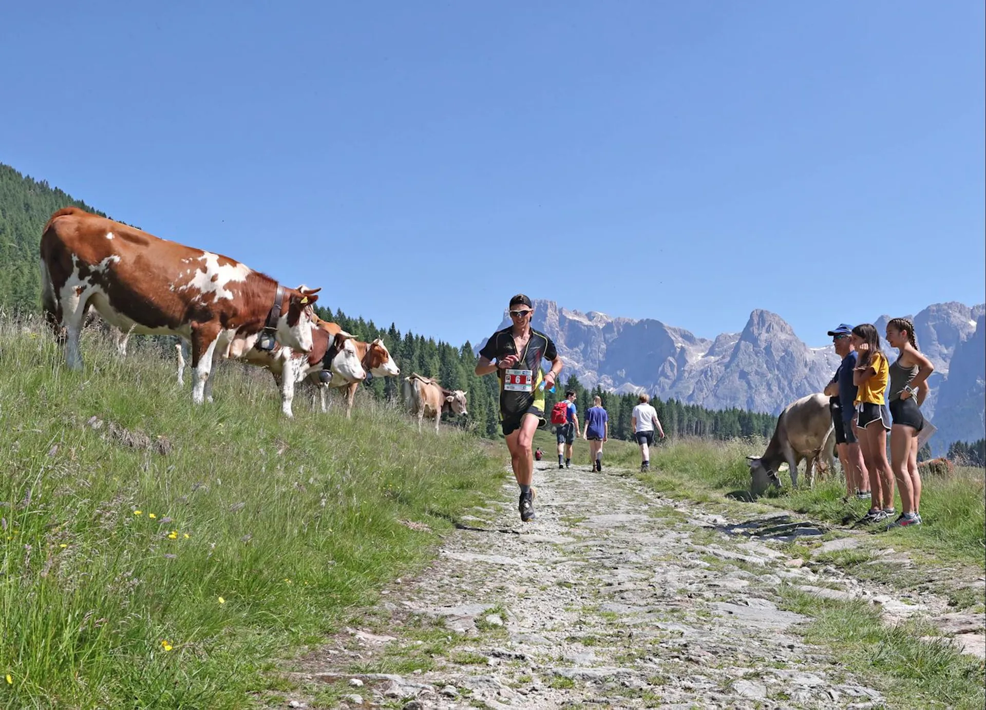 The image depicts a trail running event. A runner is seen in the foreground on