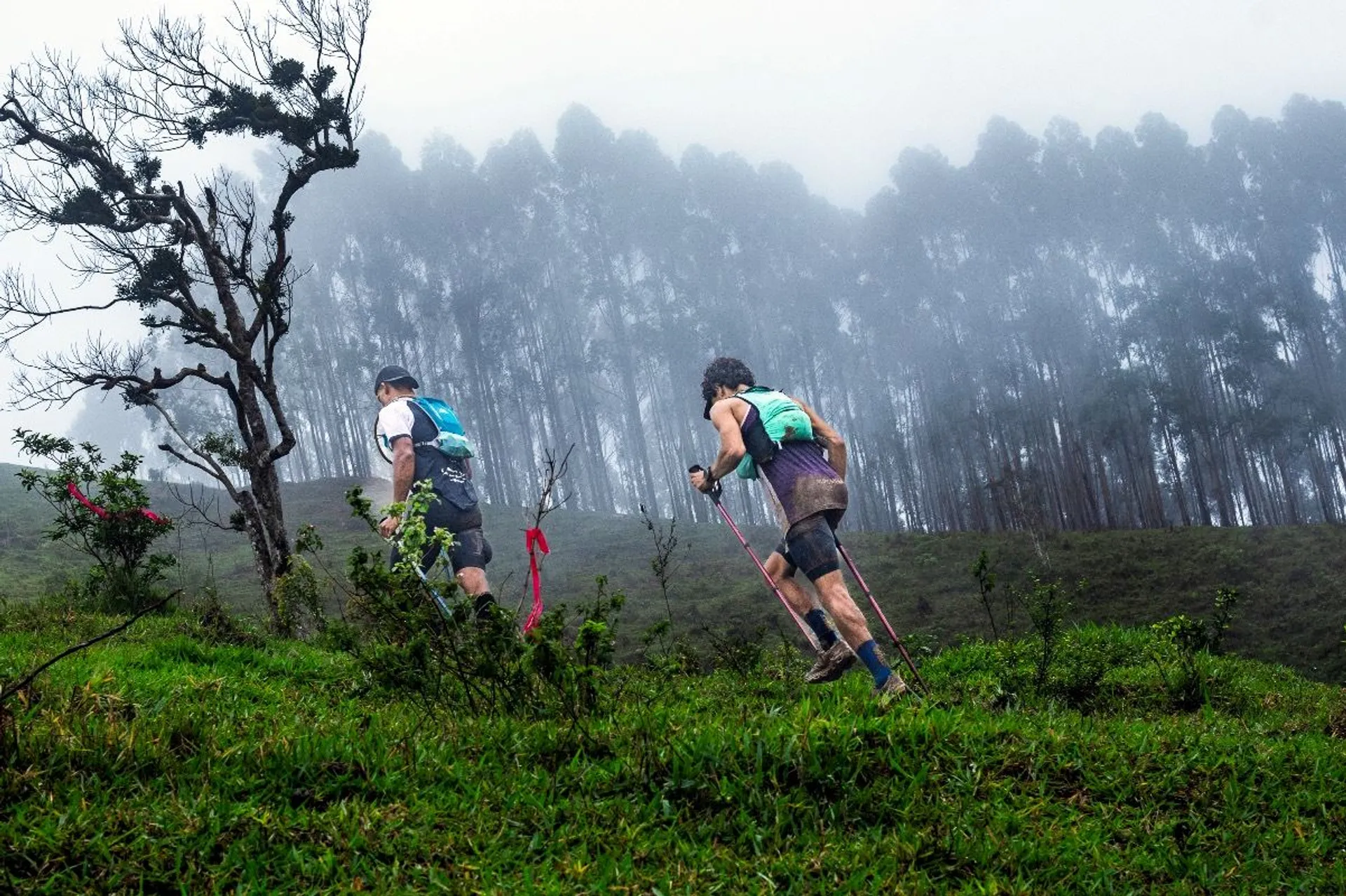 WTR Serra do Mar