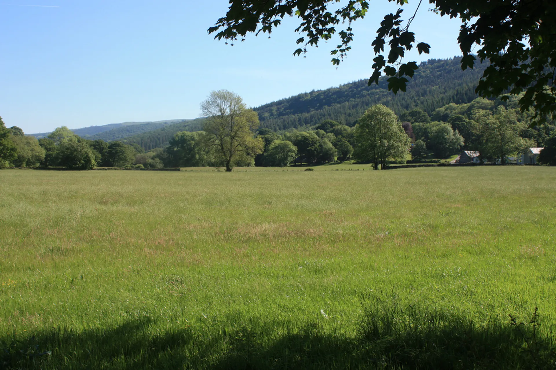 Snowdonia Half Marathon - main photo