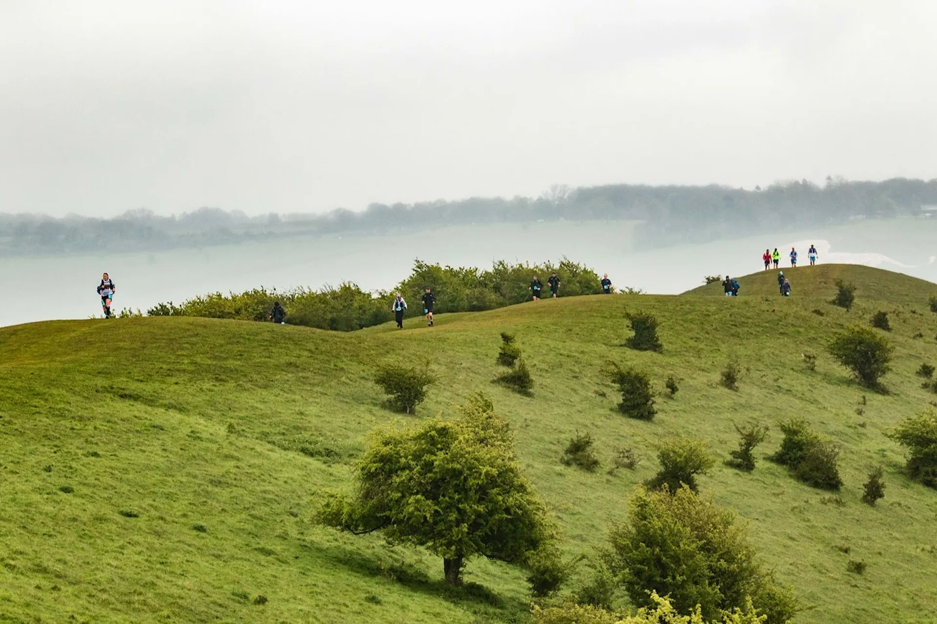 Chiltern Ridge Winter 50K