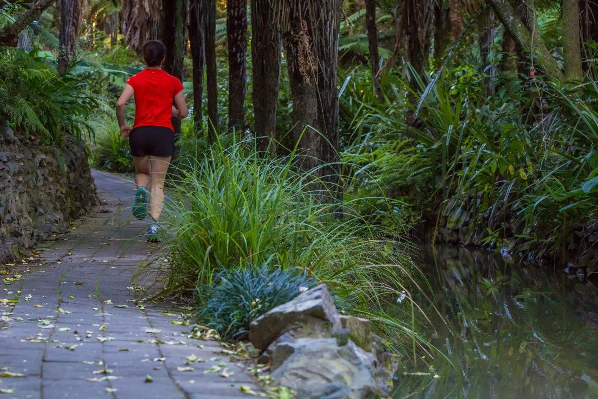 Kirikiriroa Marathon - main photo