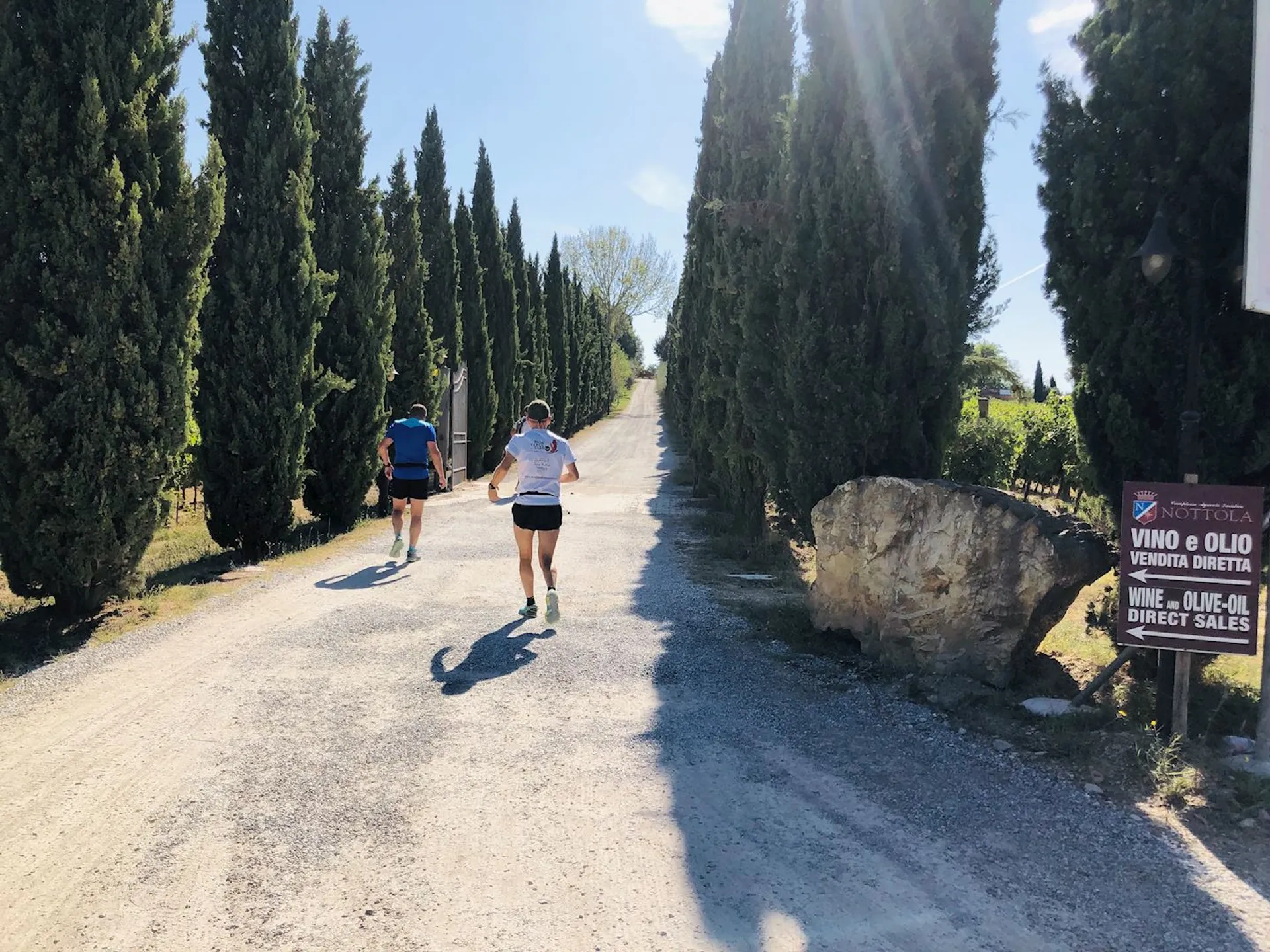 Image of Montepulciano Run