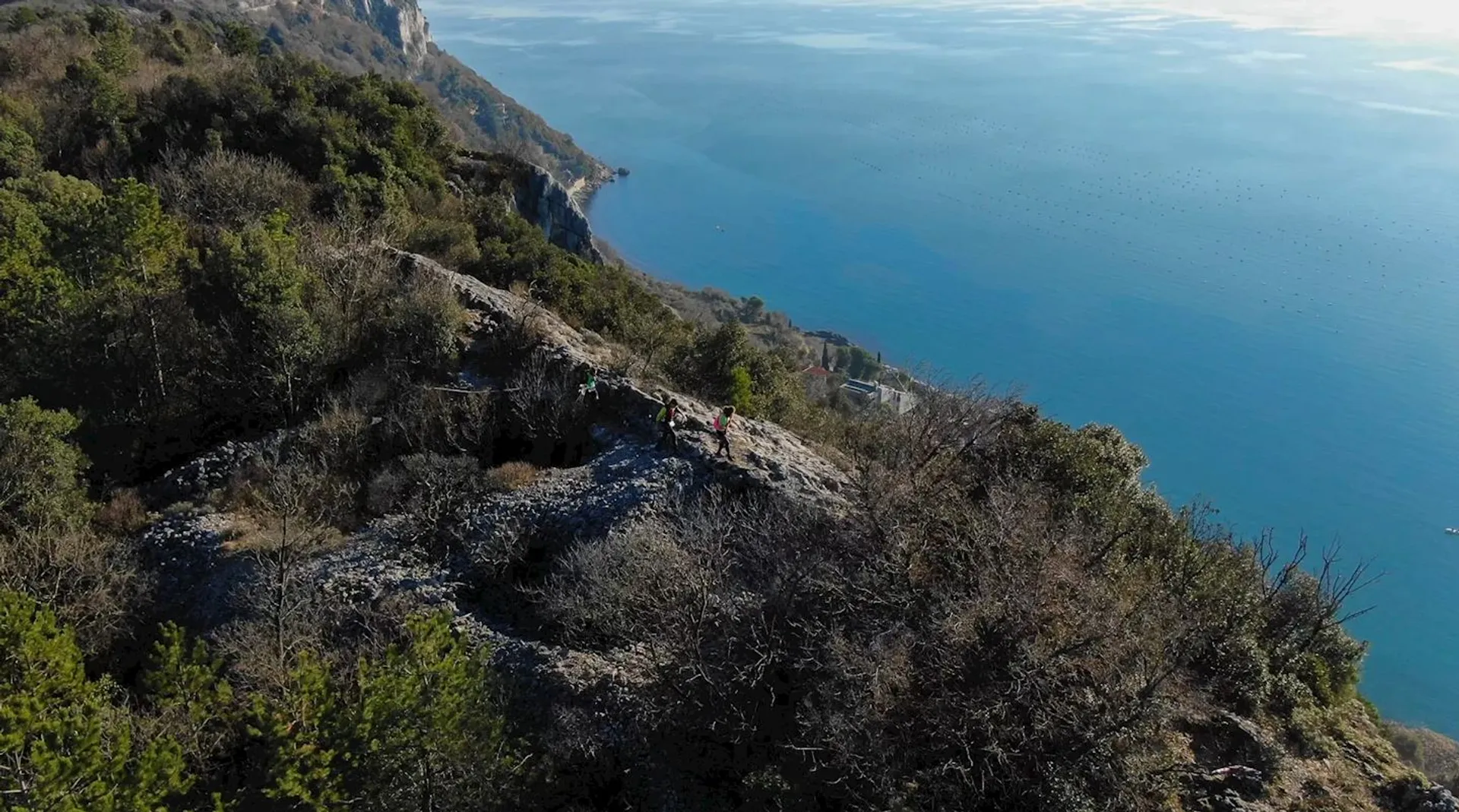 The image shows an aerial view of a coastal landscape. There is a cliff with