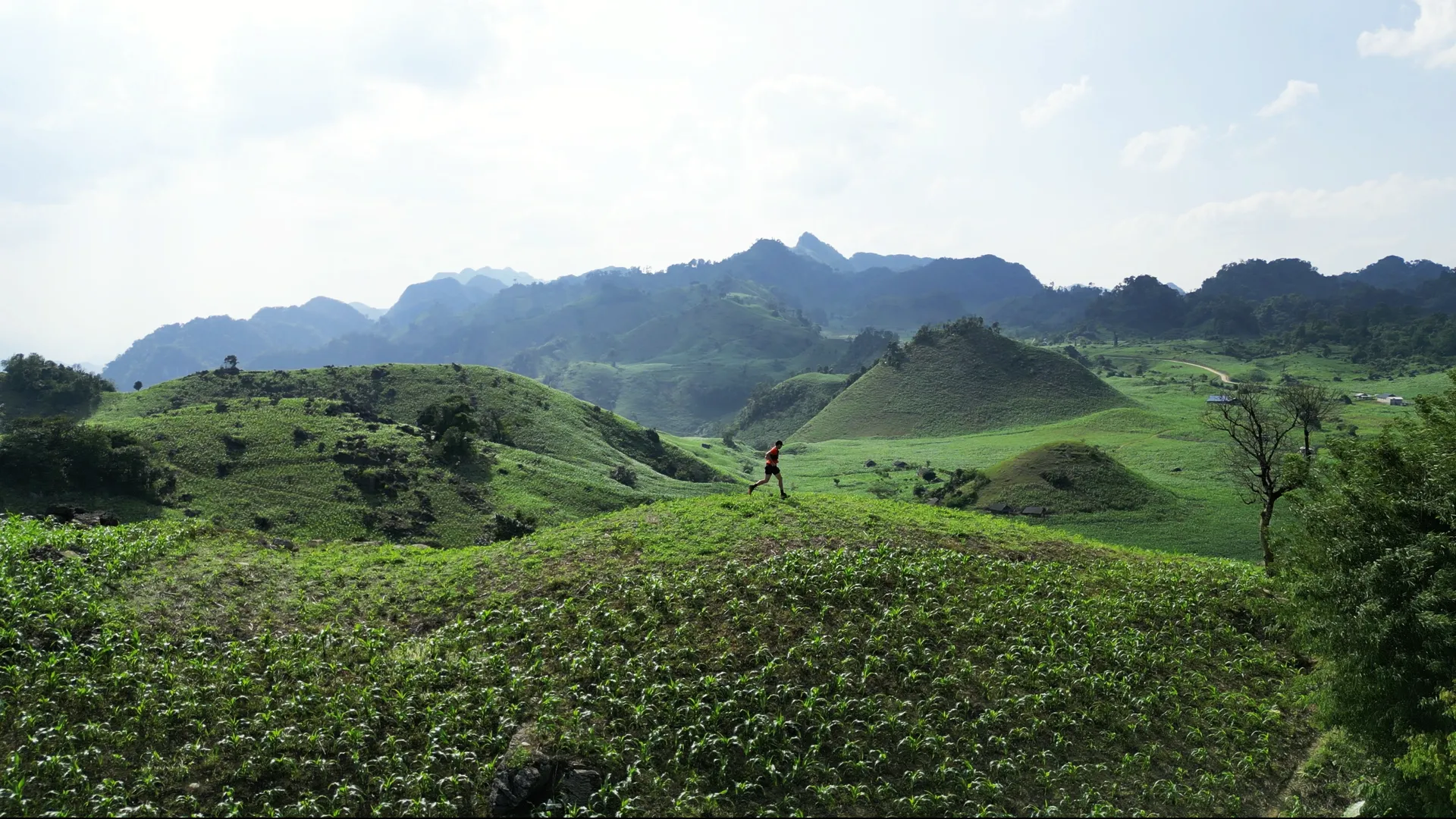 Vietnam Ultra Marathon