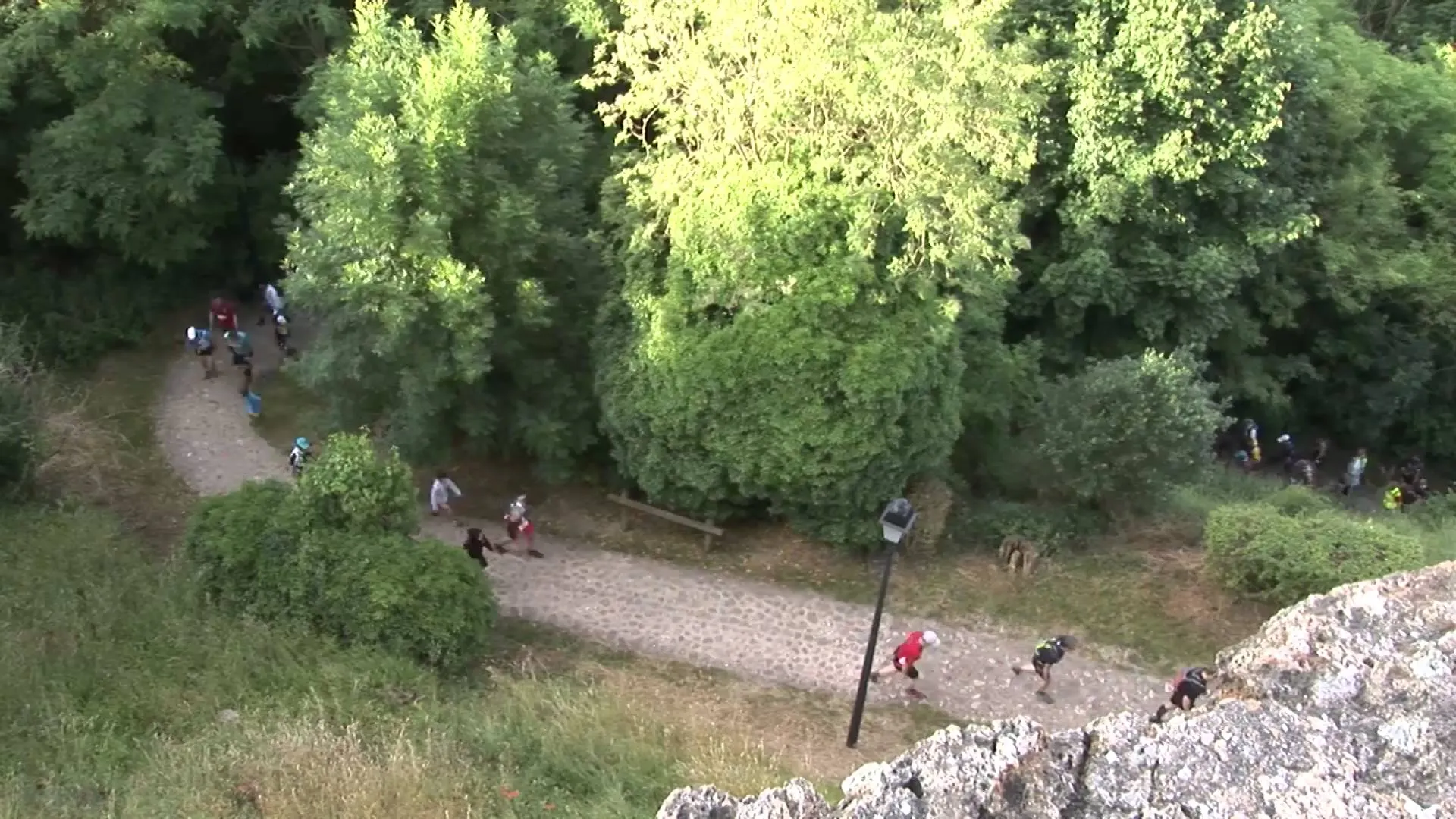 The image shows a group of people walking along a winding path surrounded by lush green
