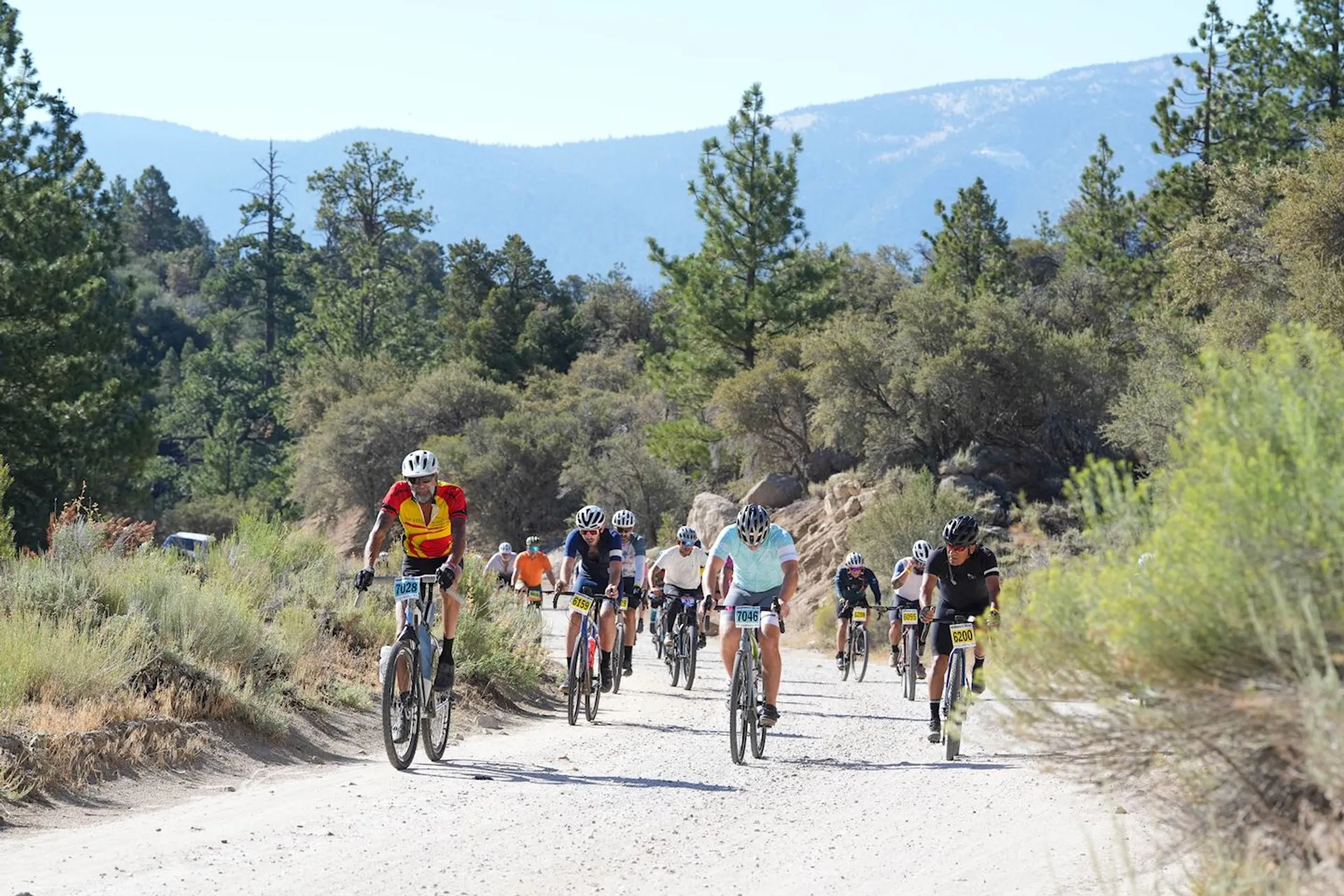 The image shows a group of people cycling on a dirt road surrounded by trees and mountains. The cyclists are wearing helmets, and there are race numbers on their bikes, suggesting it's a cycling event or competition. The setting appears to be a natural, outdoor environment with clear skies.