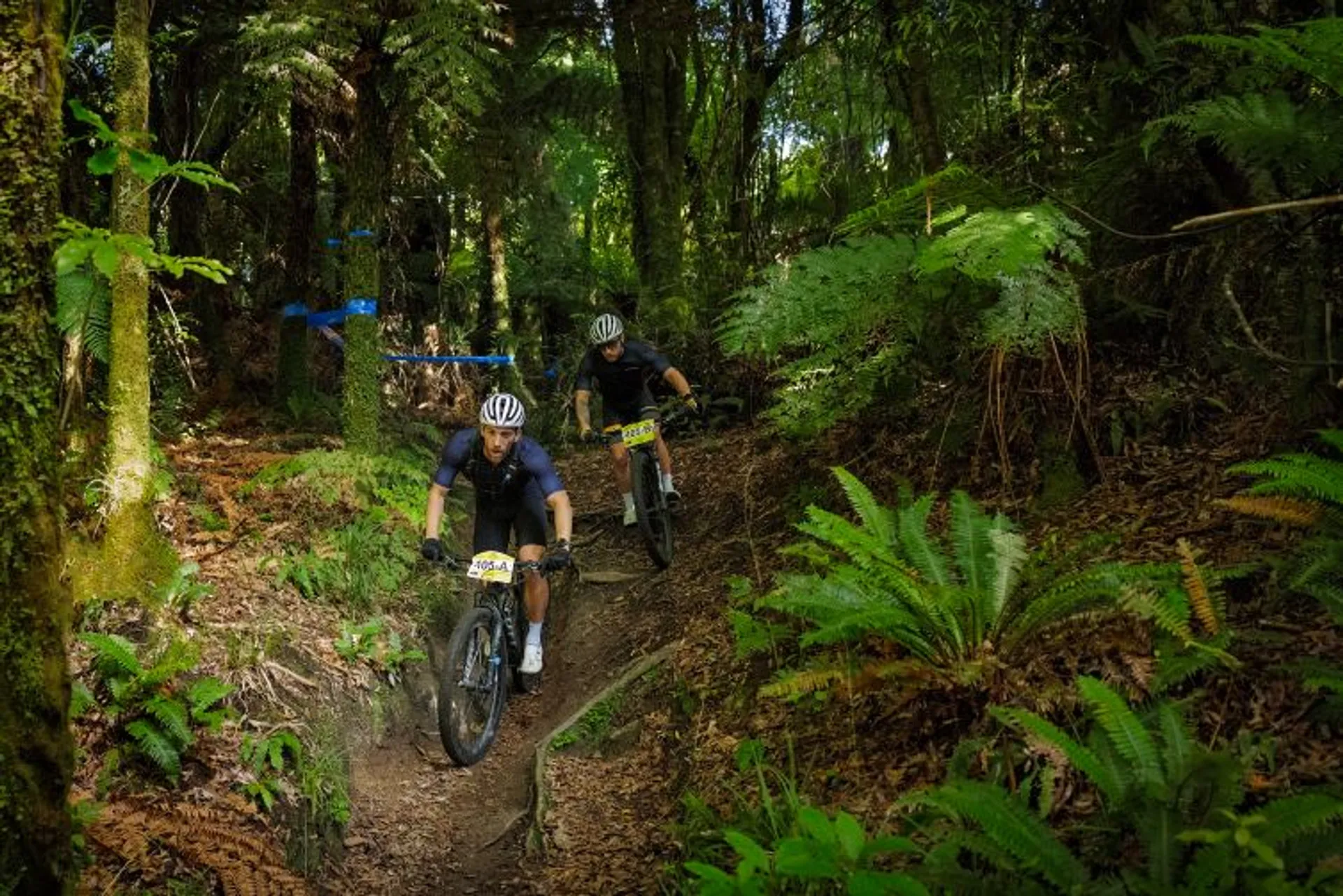 The image shows two cyclists riding on a trail through a forest. The path is surrounded by lush greenery, including ferns and trees. The cyclists are wearing helmets and have number plates on their bikes, suggesting they might be participating in an event or race. The terrain looks natural and slightly rugged.