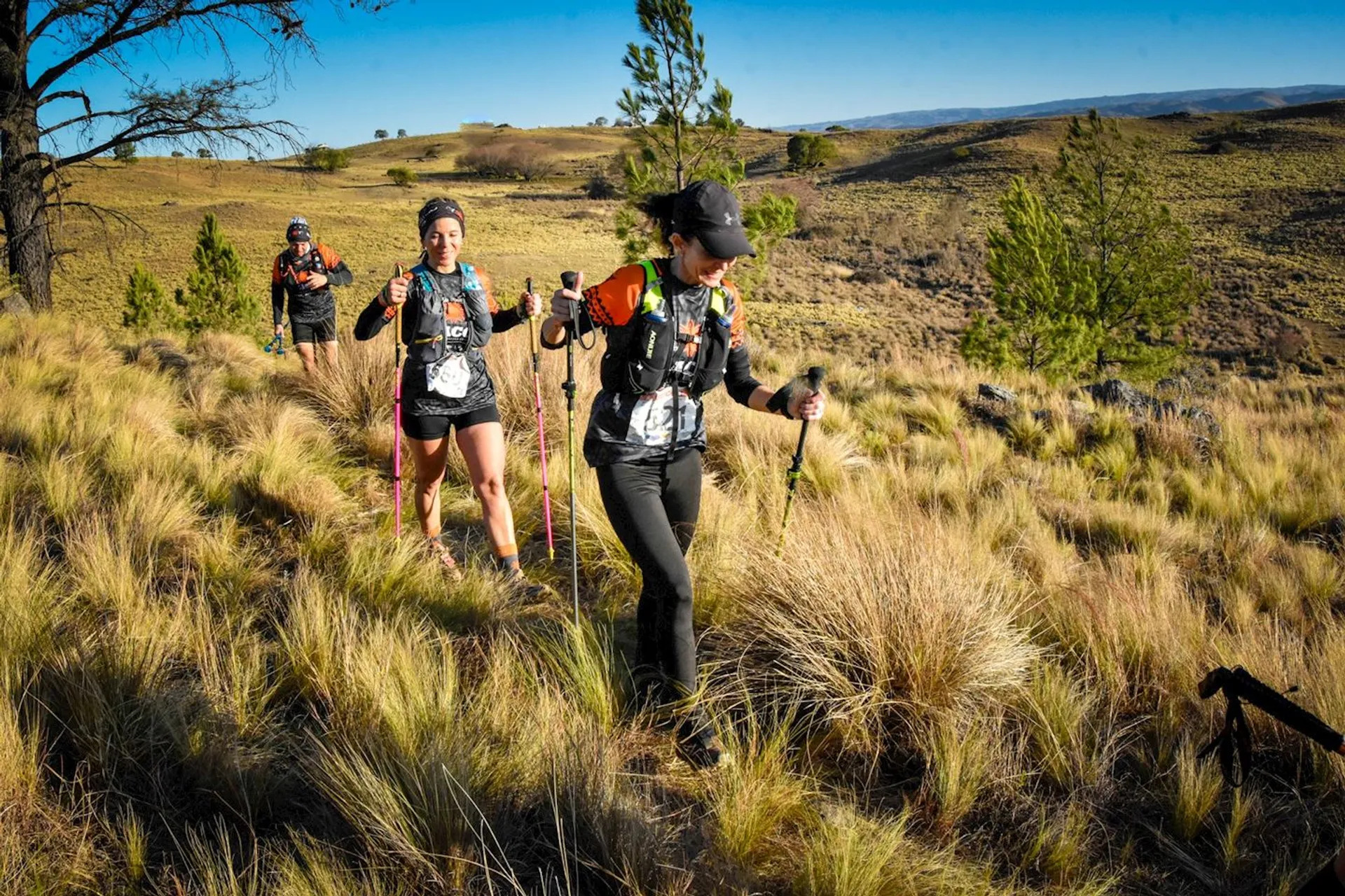 This image shows several people hiking on a grassy hillside. They're wearing hiking gear, including backpacks and using trekking poles. The landscape is open with sparse trees and rolling hills in the background under a clear blue sky.