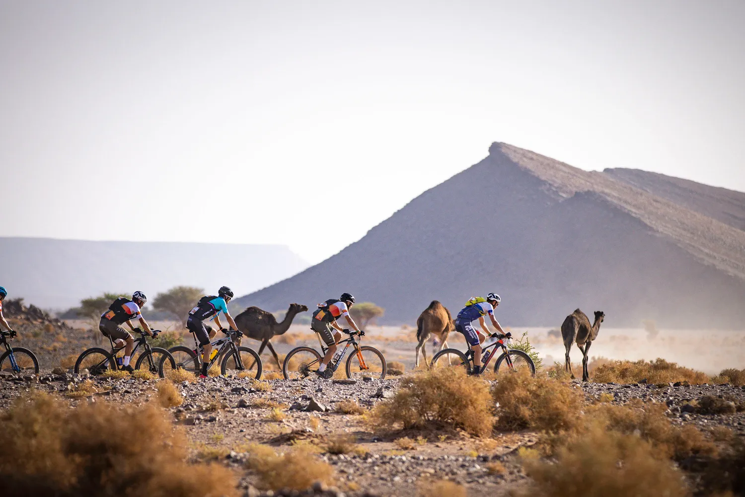 Titan desert mtb race hot sale