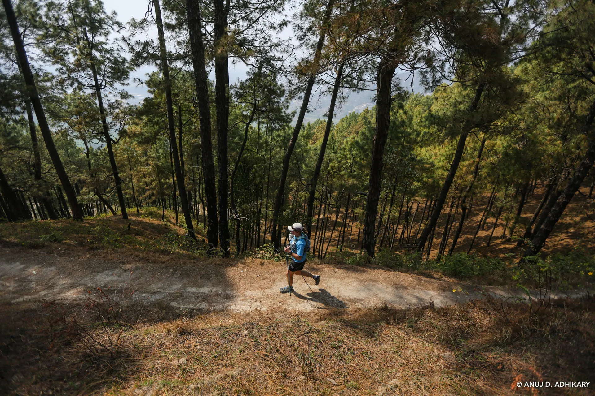 The image shows a person hiking in a forested area with tall pine trees.