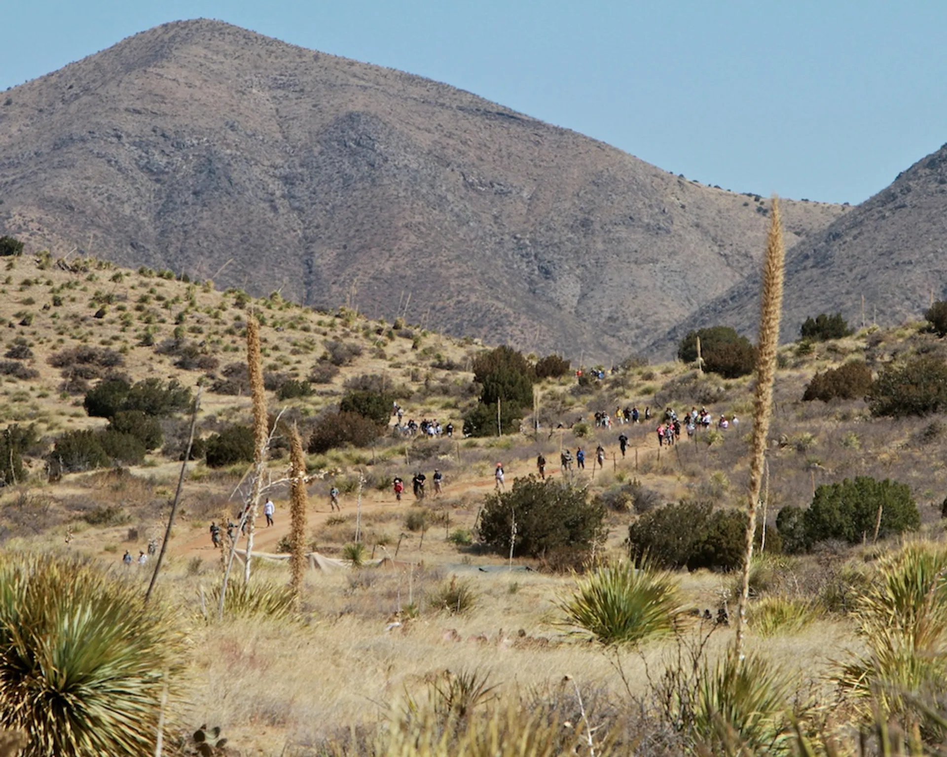 The image displays a group of people hiking or walking through a desert landscape. They