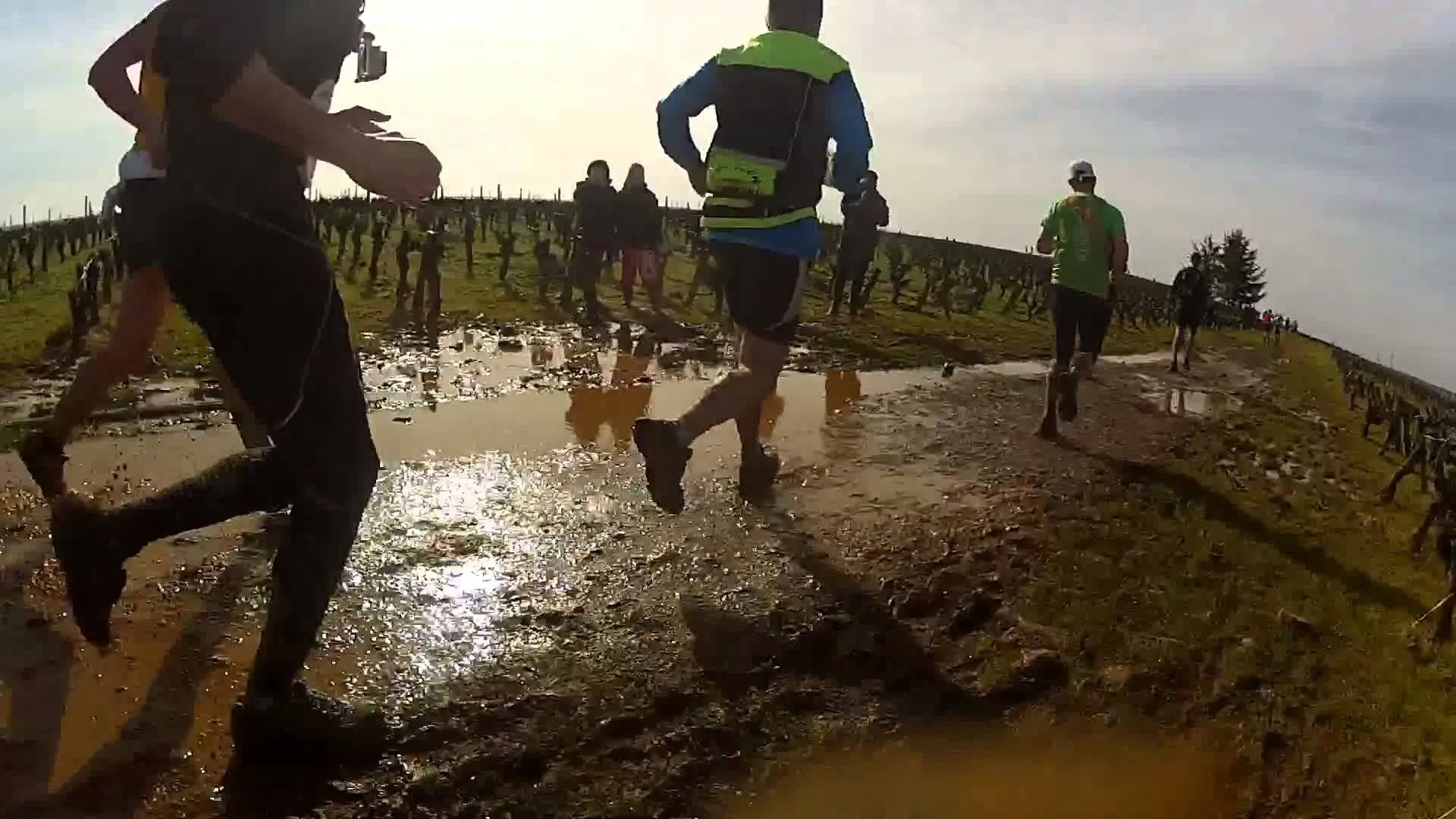 This image depicts a group of runners participating in a trail run or cross-country race